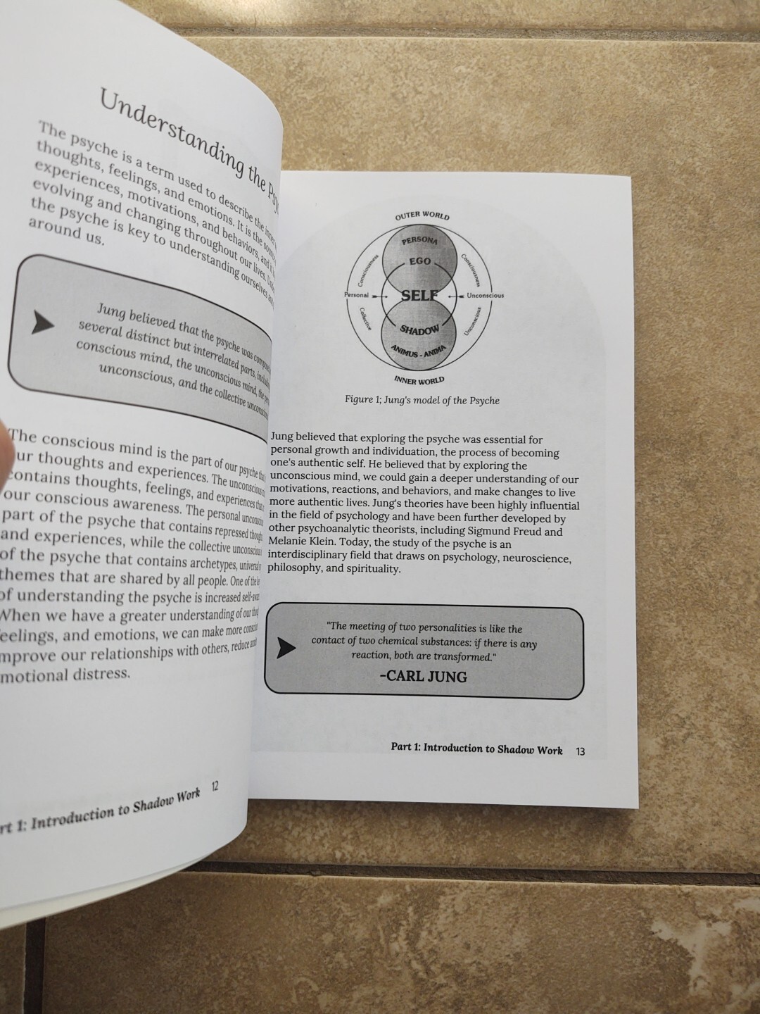 THE SHADOW WORK JOURNAL Guide Integrate & Transcend Your Shadows Self Help Book