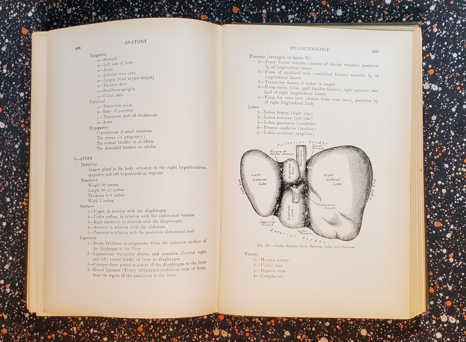 Medicine And The Allied Sciences, Samuel Fomon, Volume 1, 1919, Hardcover