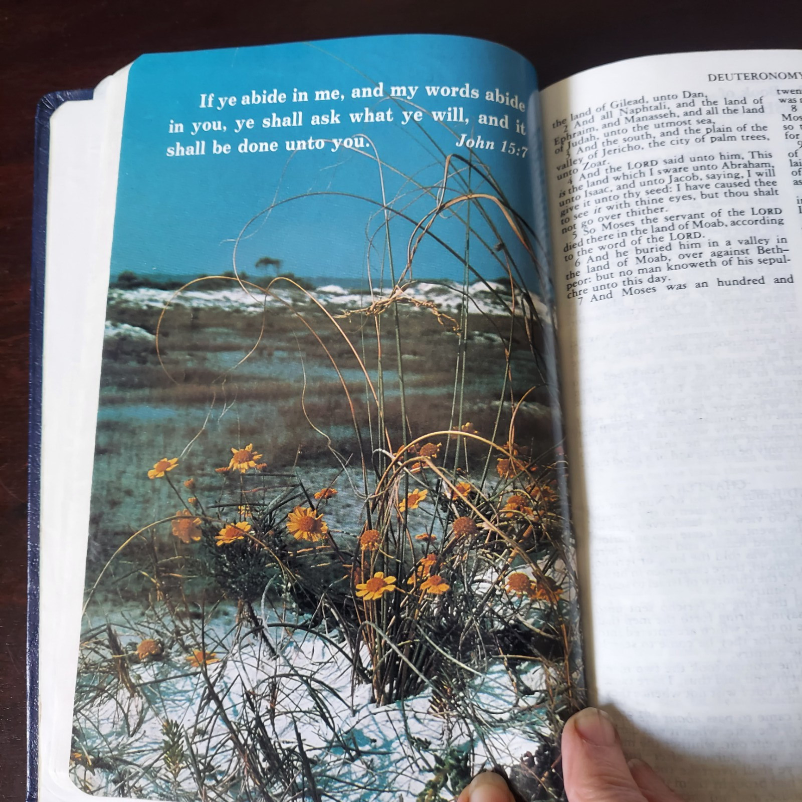 Lot Of 2 Holy Bibles – Versions: New World Translation Watchtower & King James