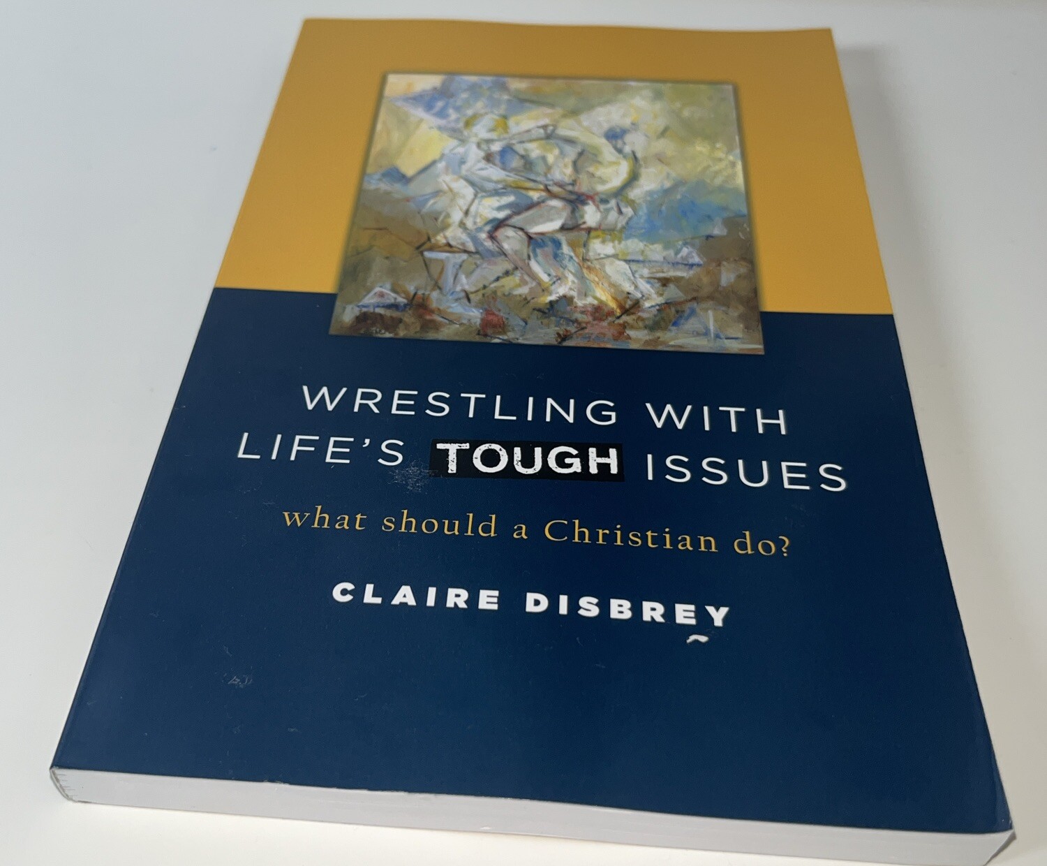 Wrestling with Life’s Tough Issues : What Should a Christian Do? by Claire…
