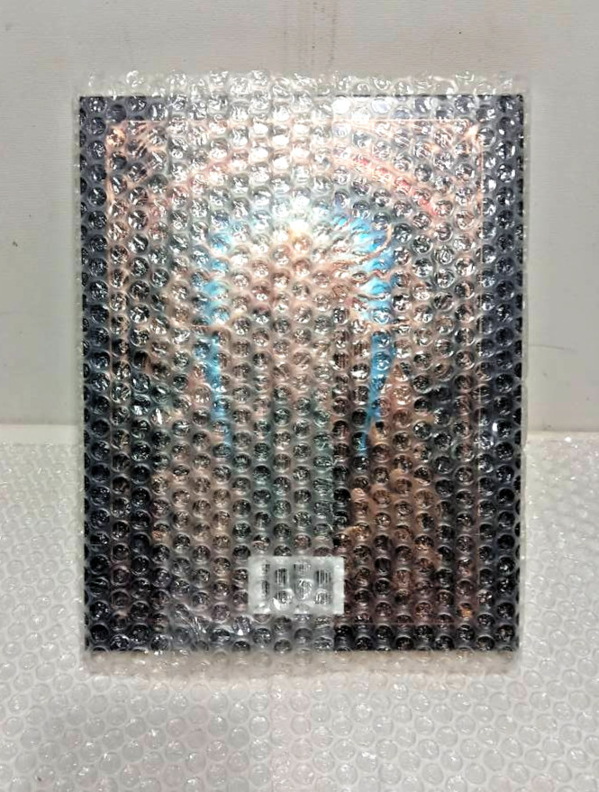 Baldur’s Gate 3 Artbook Collector’s Edition (N-Mint Condition Factory Sealed)
