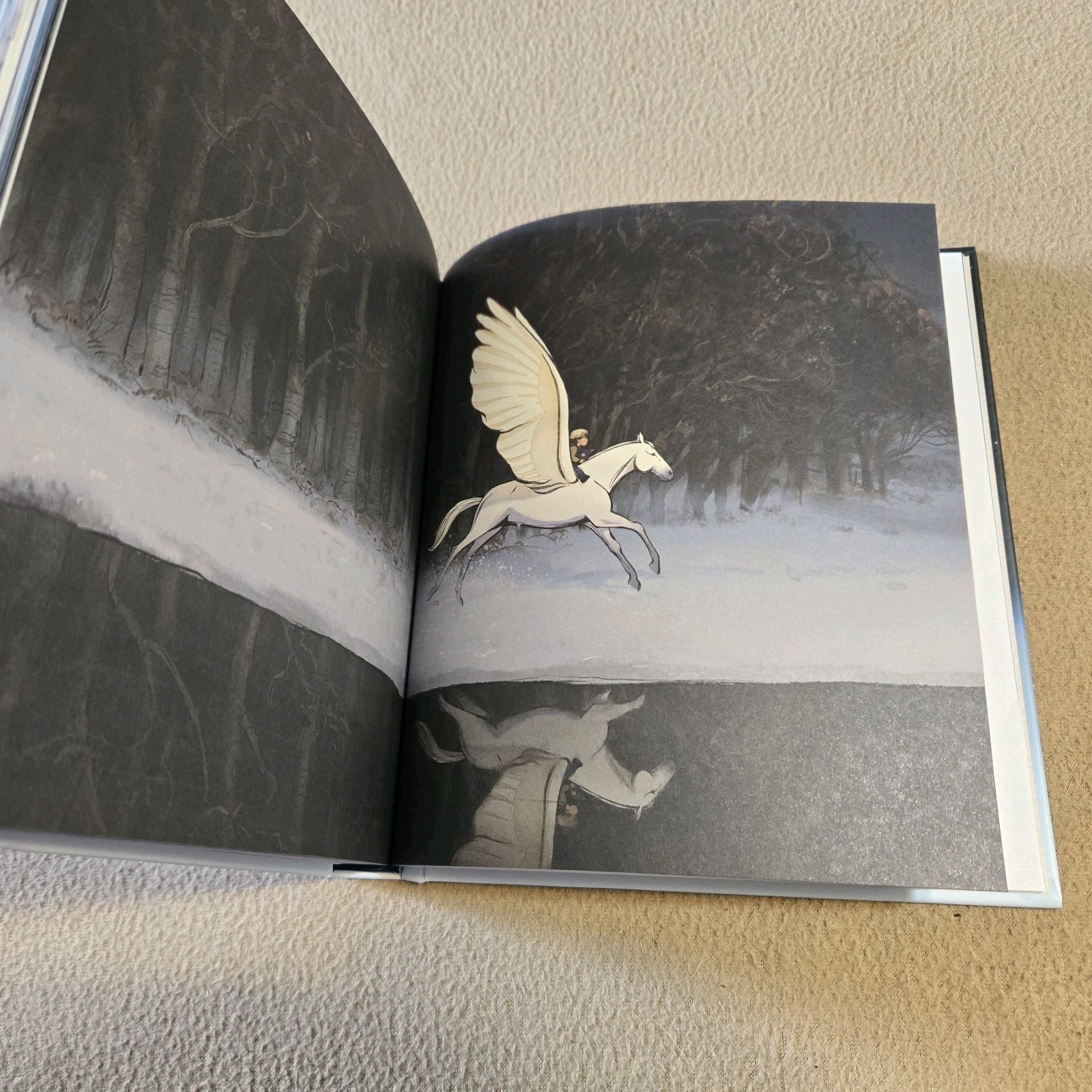 The Boy the Mole the Fox and the Horse, Mackesy, Animated Story, 1st Printing