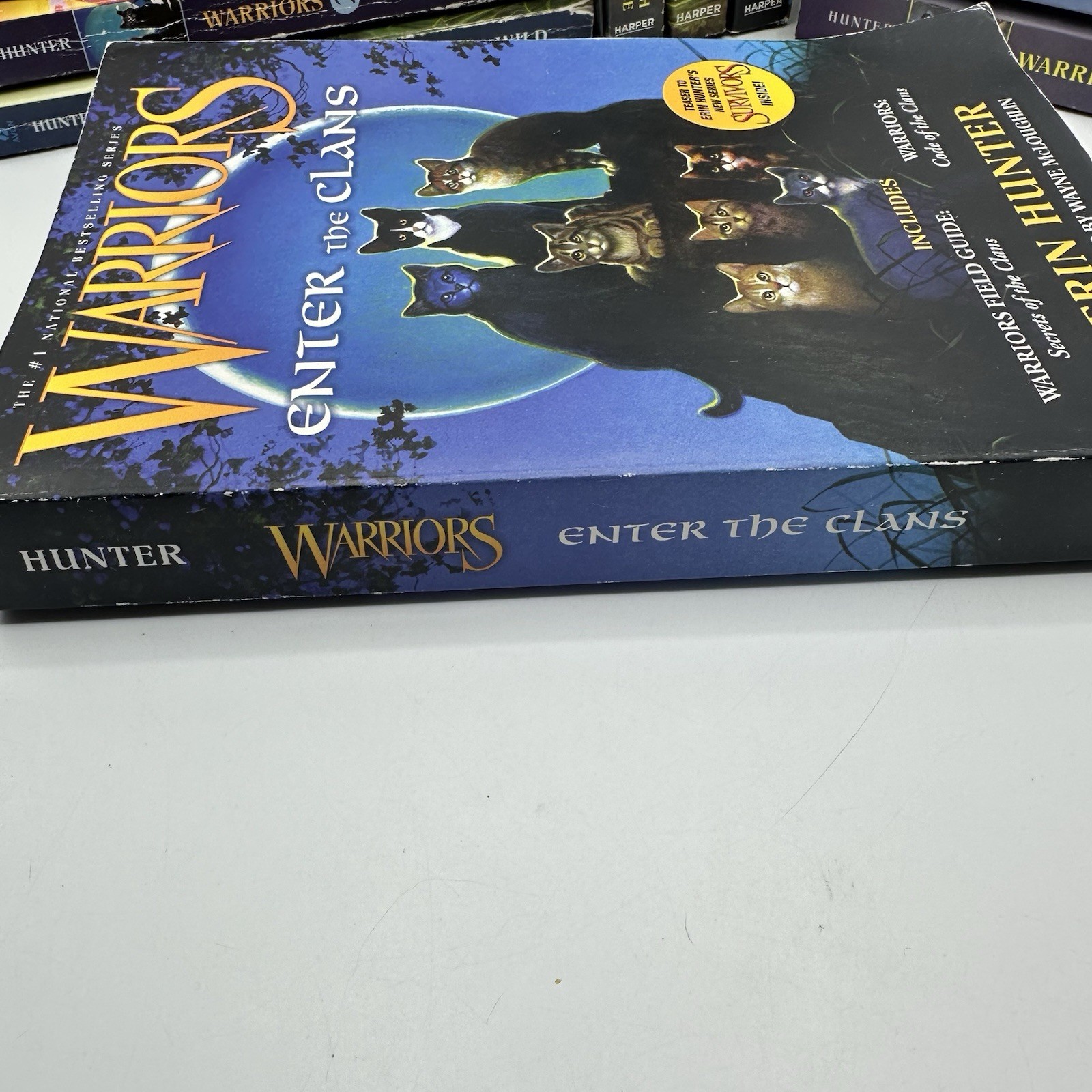 Warriors Series Mixed Titles 12 Book Lot Paperback Chapter Book Lot Erin Hunter