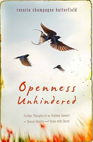 Openness Unhindered: Further Thoughts of an Unlikely Convert on Sexual Id – GOOD