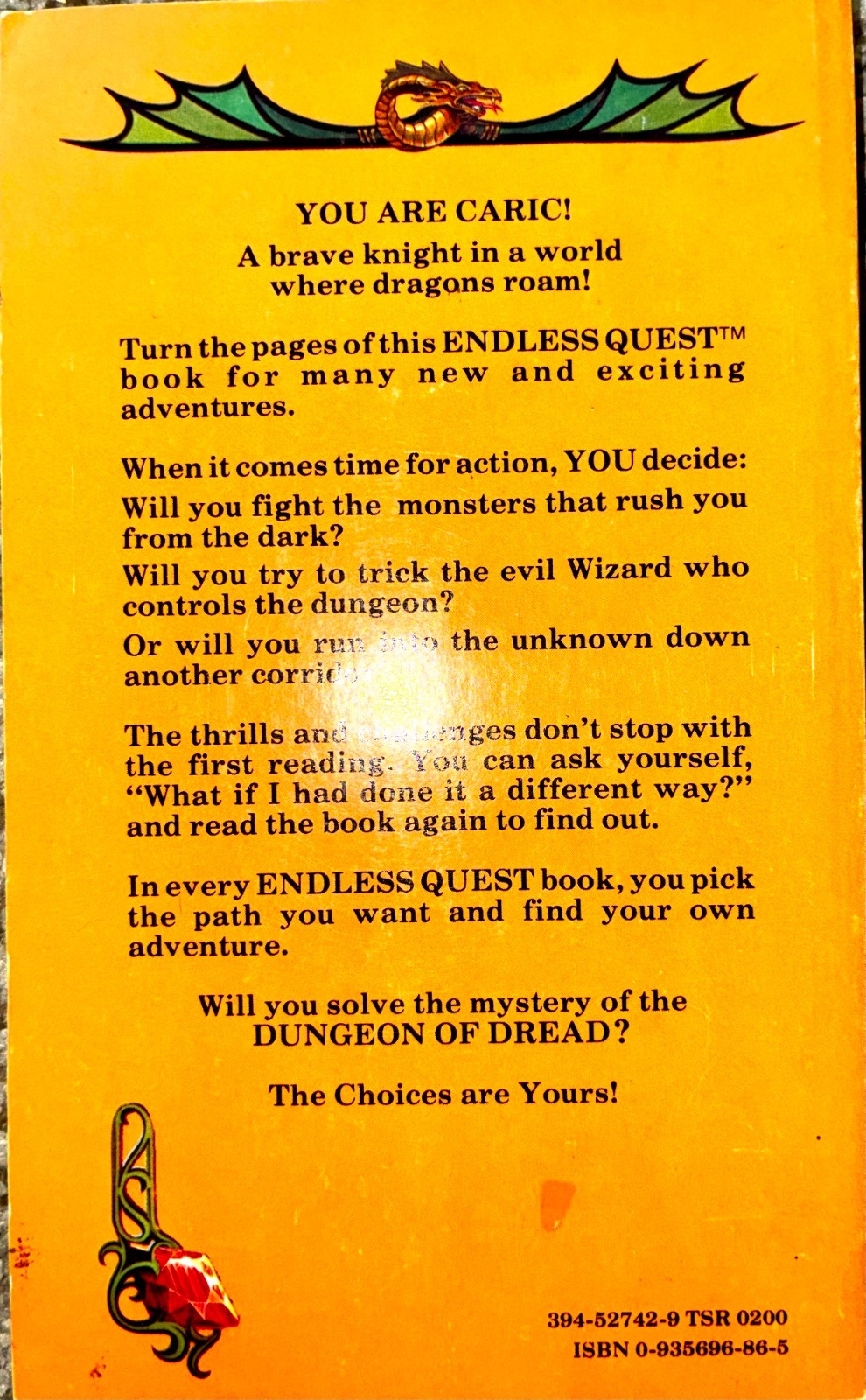 Dungeon of Dread Rose Estes 1982 Endless Quest Book 1 Dungeons Dragons TSR