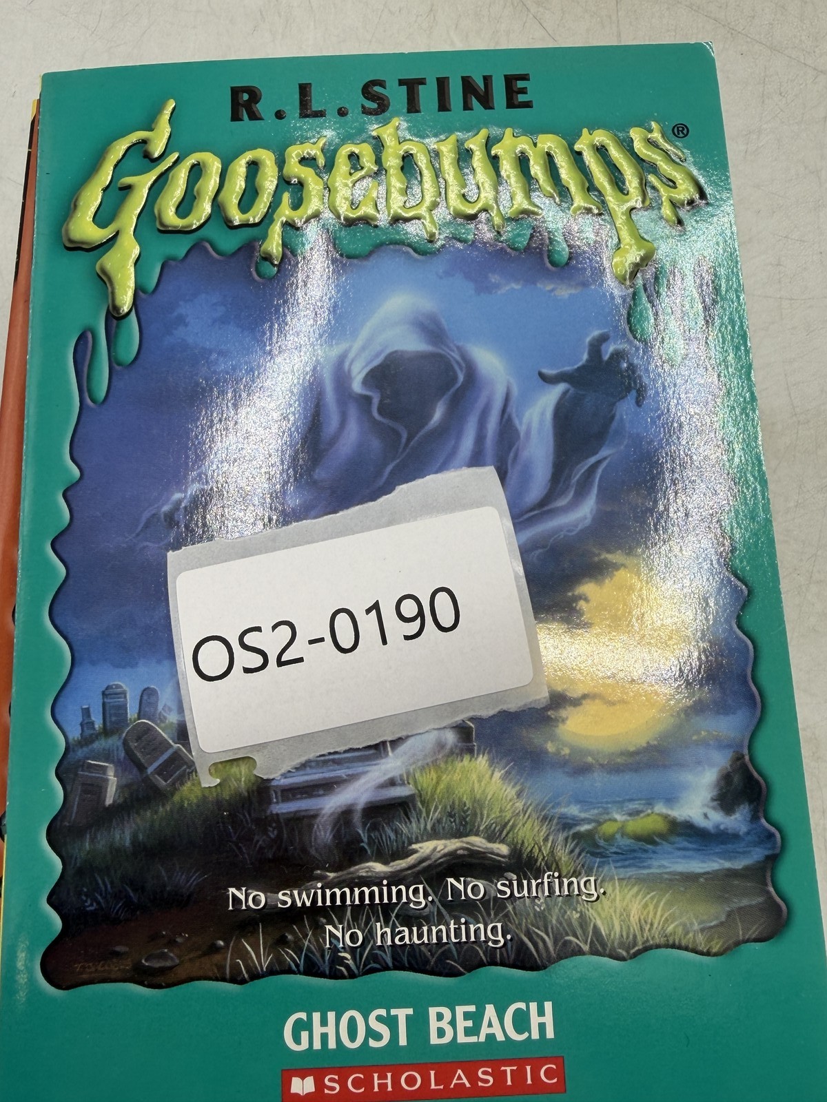 Goosebumps R.L. Stine 22 Book Lot Scholastic Paperback Horror Kids Collection