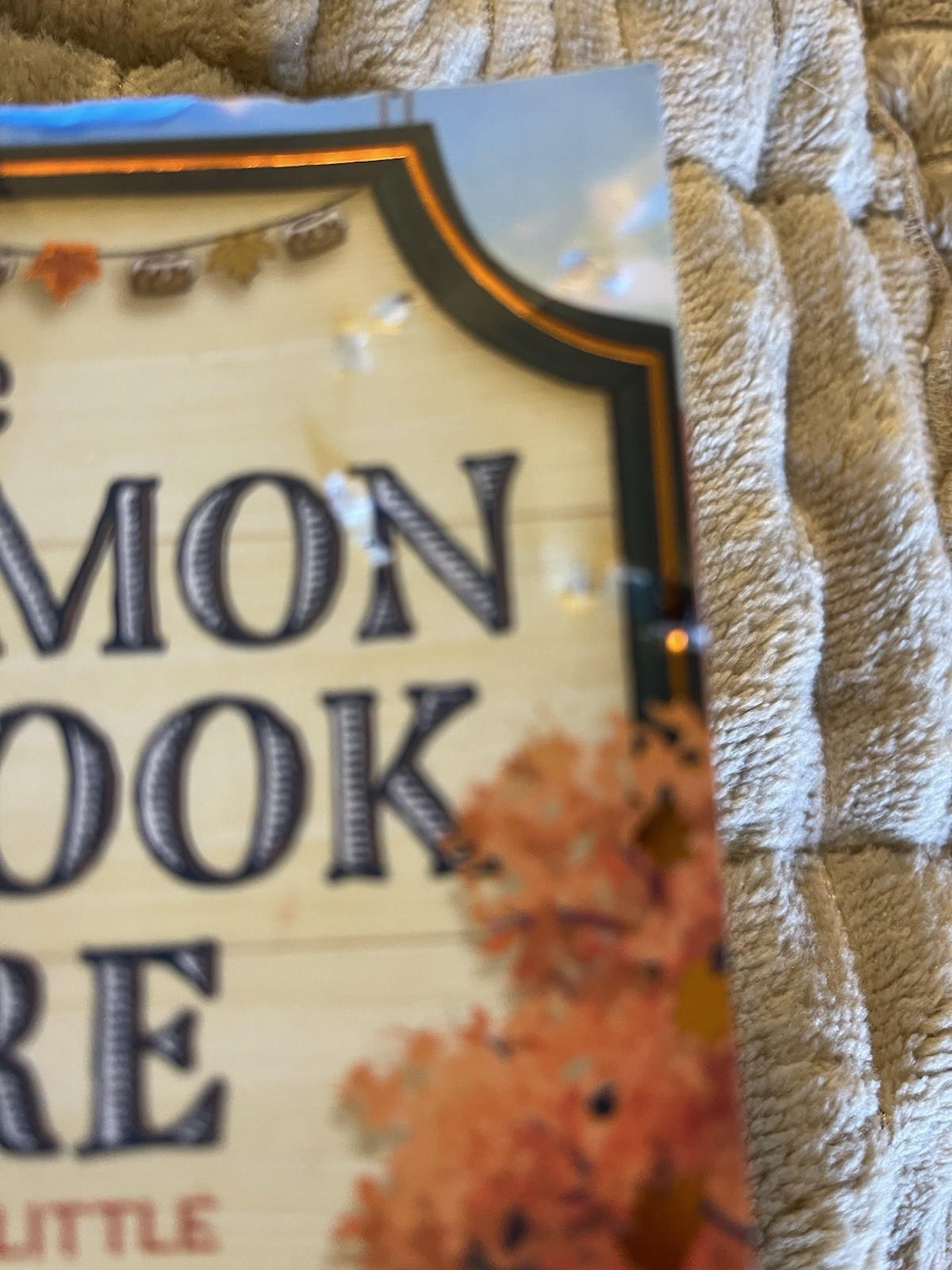 The Cinnamon Bun Book Store