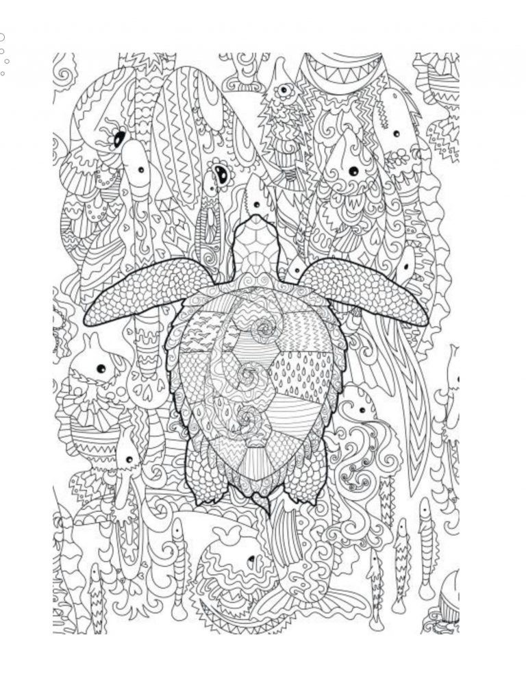 Best the Turtles & Turtle Coloring books 108 Pages 8.5 x 11 for All Ages
