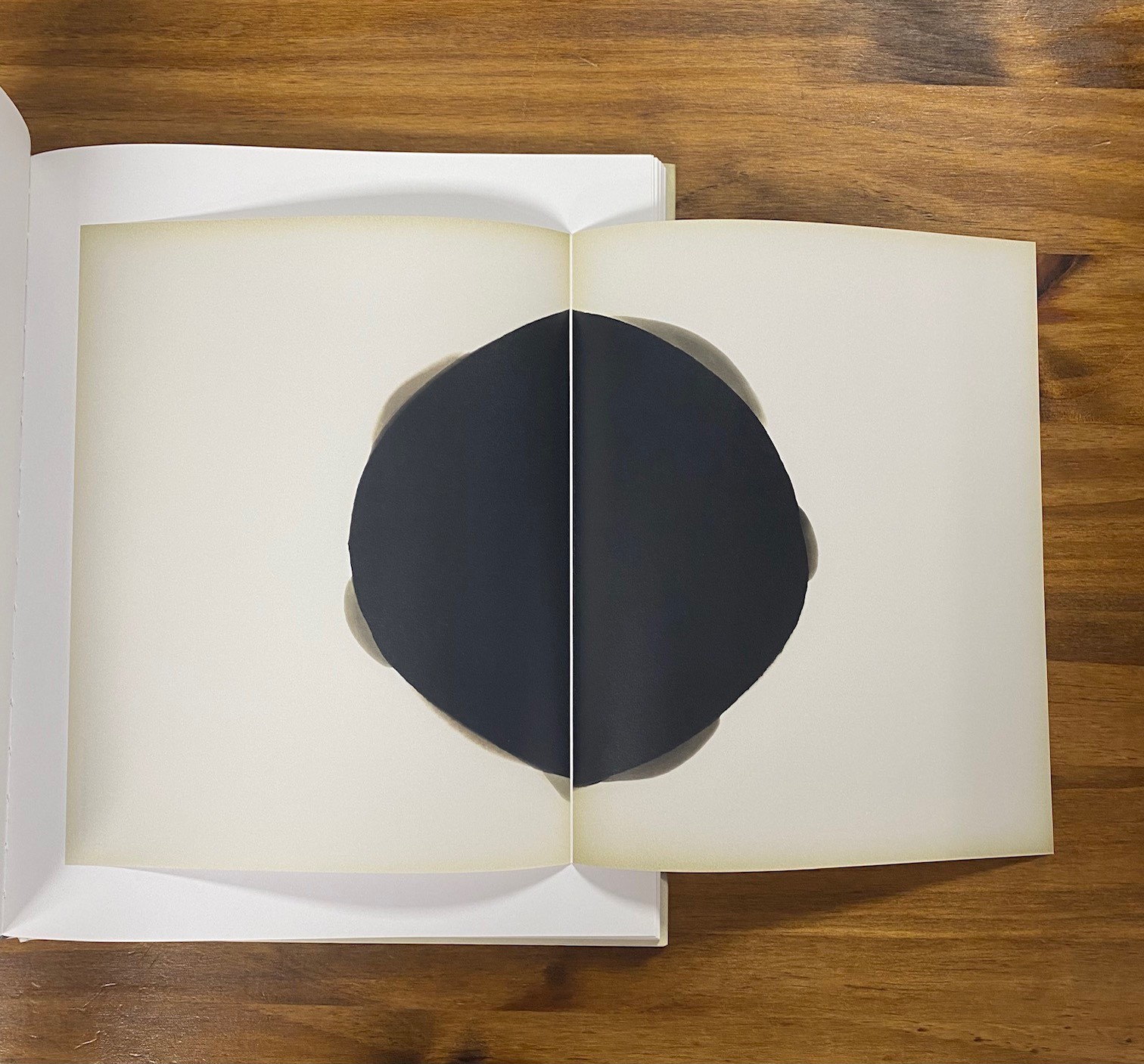 Alison Rossiter Expired Paper First 1st Edition Hardcover Radius Yossi Milo 2017