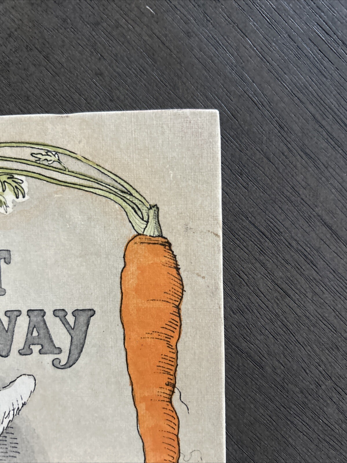 Rabbit Finds a Way by Judy Delton (1975, Hardcover)