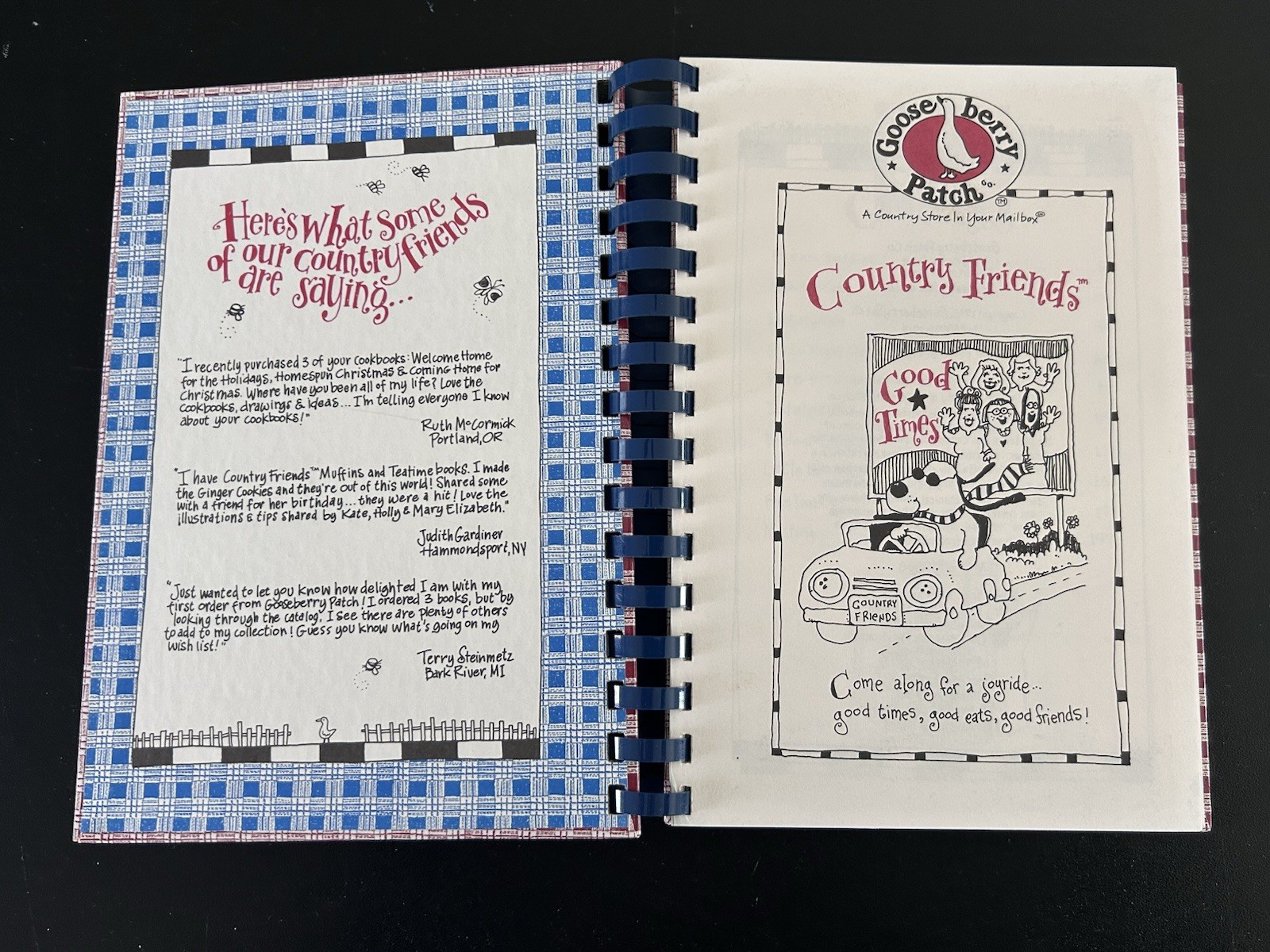Vintage 1998 Gooseberry Patch Country Friends Good Times Book Spiral Bound HC