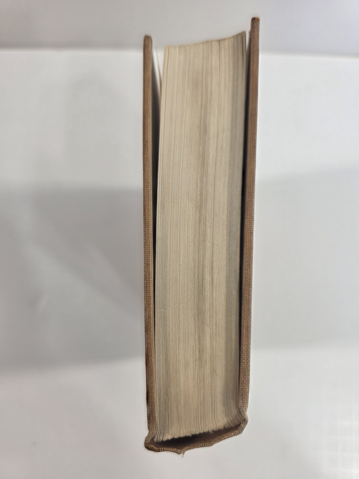 Wild Animals of the Five Rivers Country George Franklin 1947 Mary Ogden Abbott