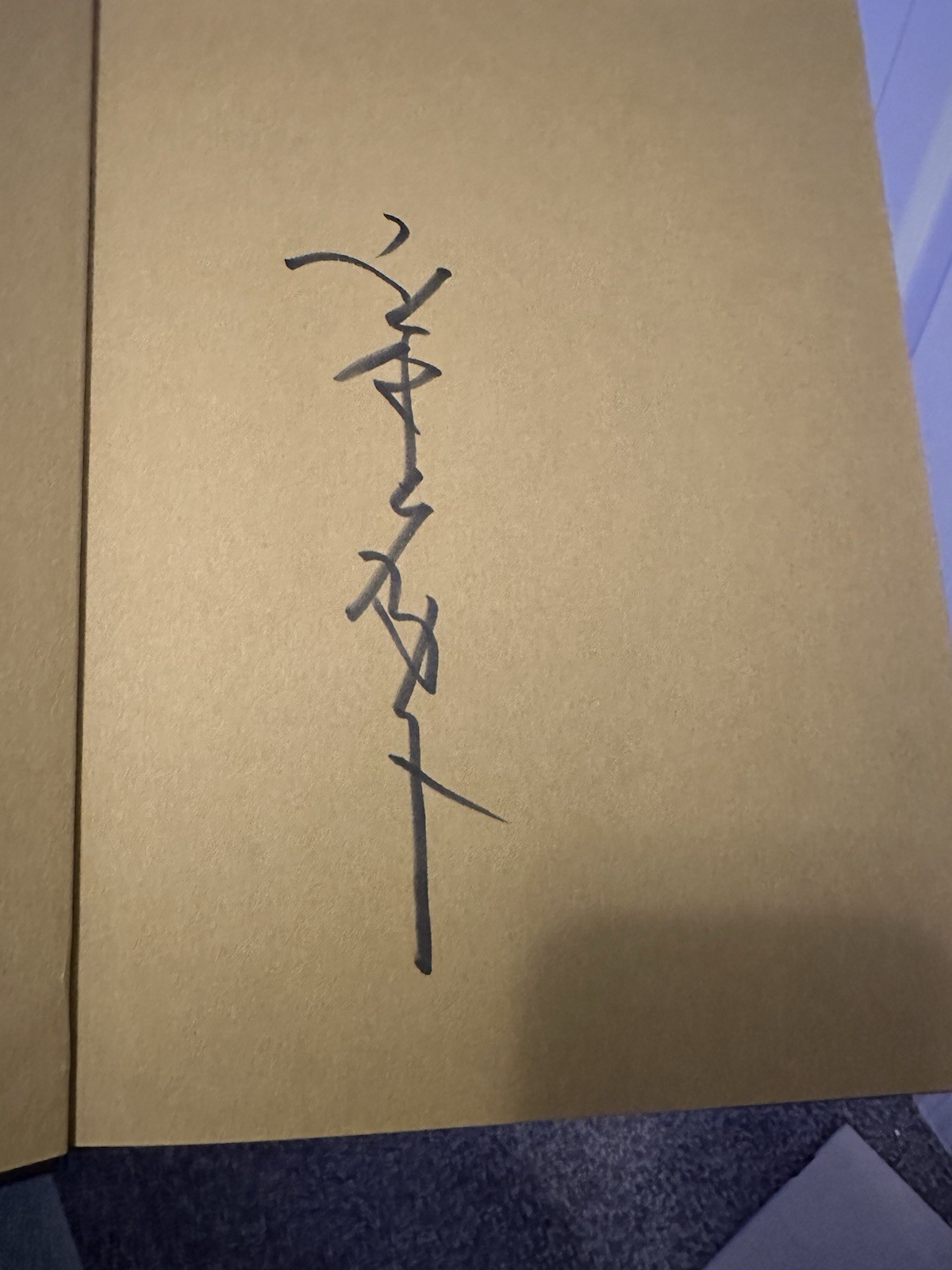 Takato Yamamoto Coffin Of A Chimera Signed Hardcover W/ Slipcase