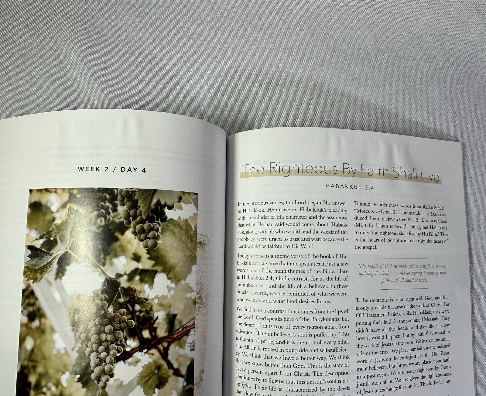 Even If a study of Habakkuk by The Daily Grace Co. Book Kristin Schmucker