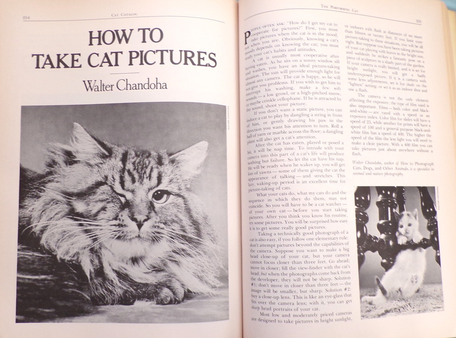 „Cat Catalog“, The Ultimate Cat Book, Large „Very Good“ 1st Ed. Book, 352 pages