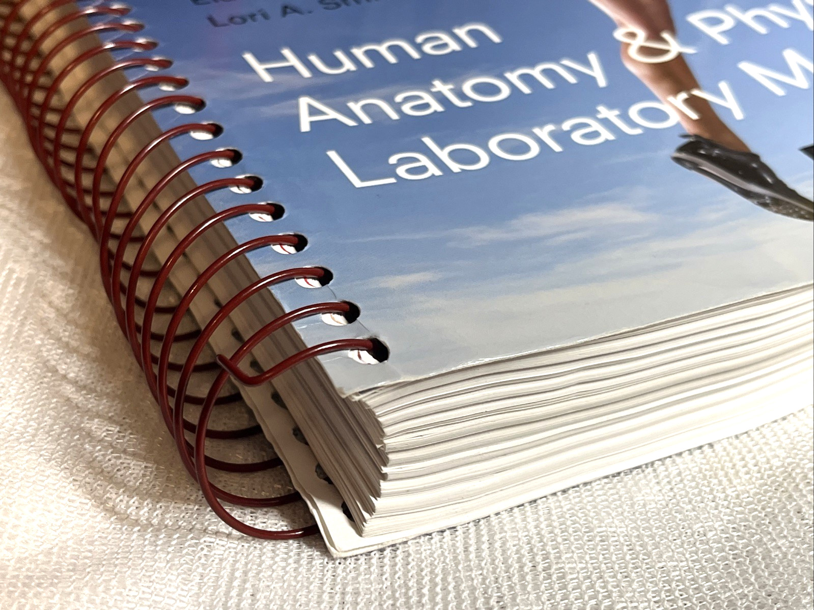 Human Anatomy & Physiology 12th Edition Marieb & Smith Instructor’s Review Copy