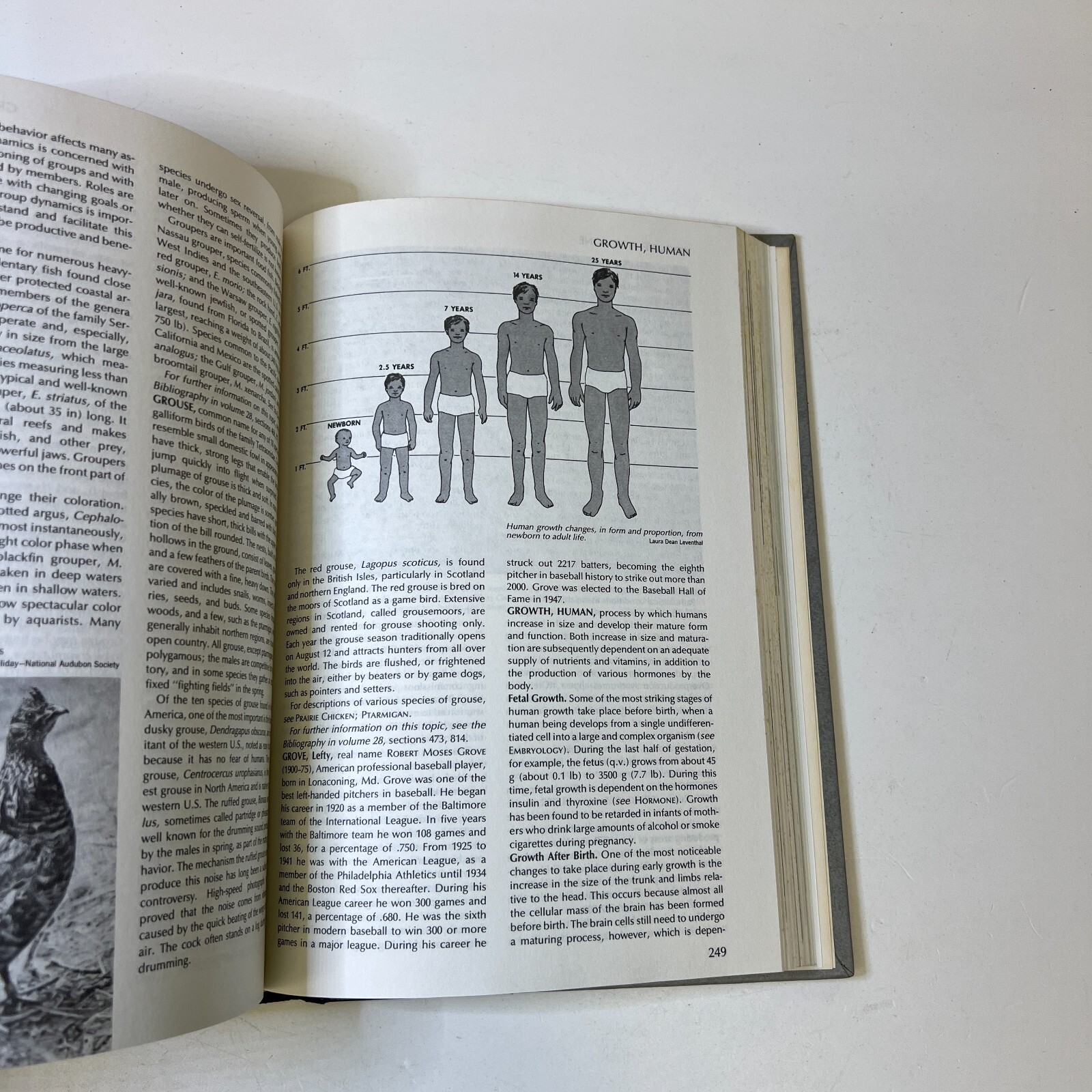 Funk and Wagnalls New Encyclopaedia, Vol. 12, by Leon L. Bram Hardcover