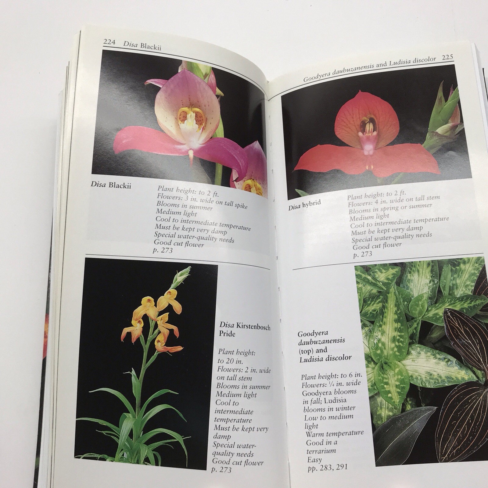 Taylor’s Guide to Orchids~1996~Judy White~Ex Library