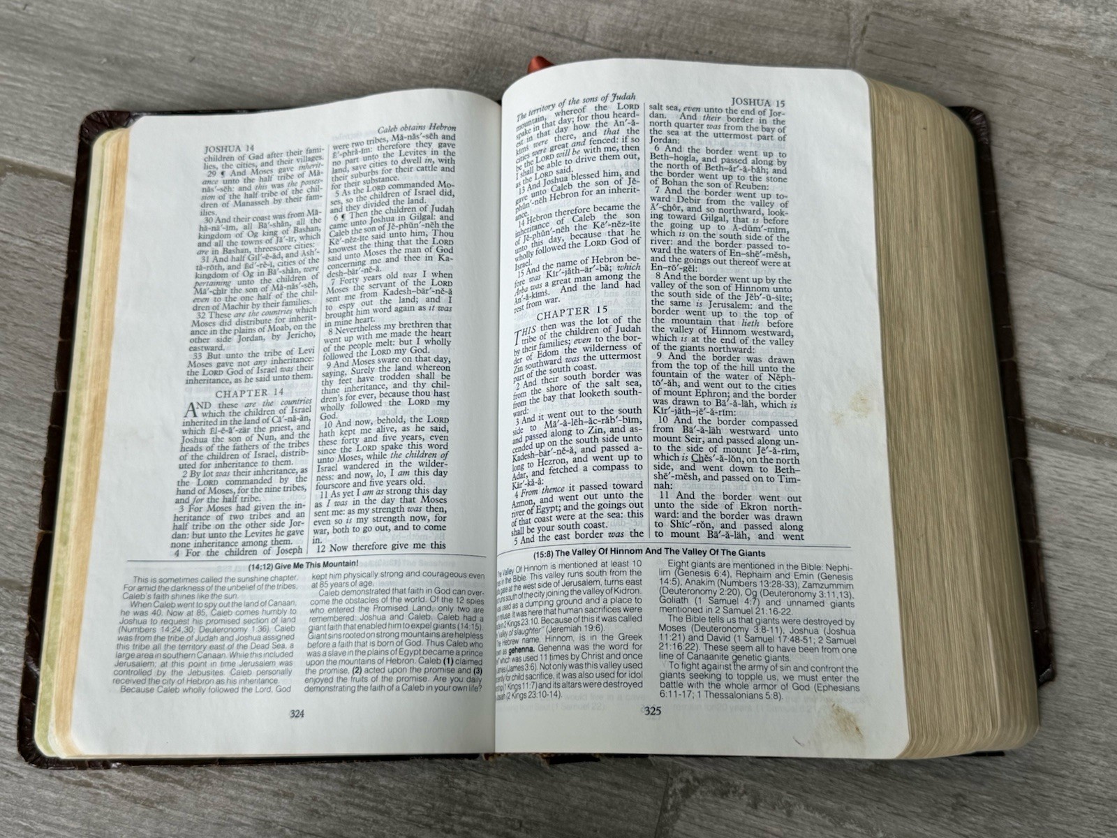 ✝️ Salem Kirban Reference Bible – King James Version 1980 – Well-loved