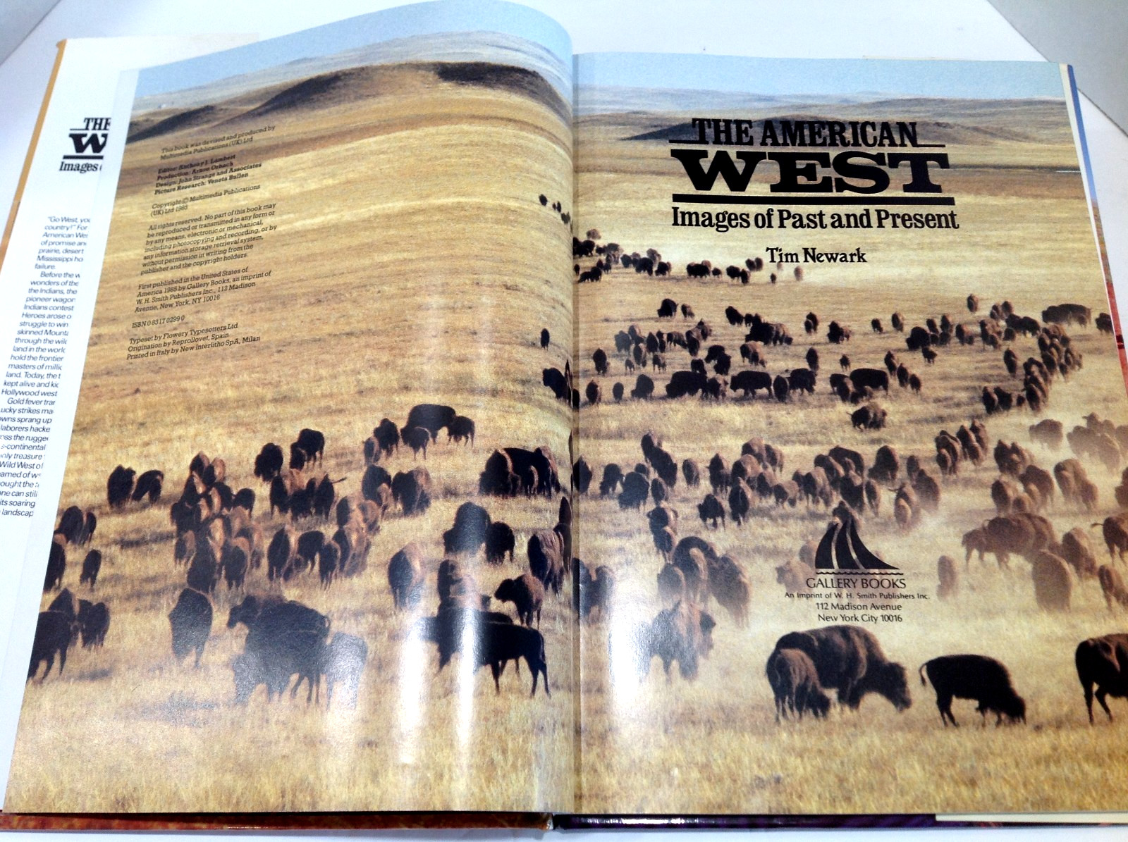 The American West Images of the Past and Present by Tim Newark 1985