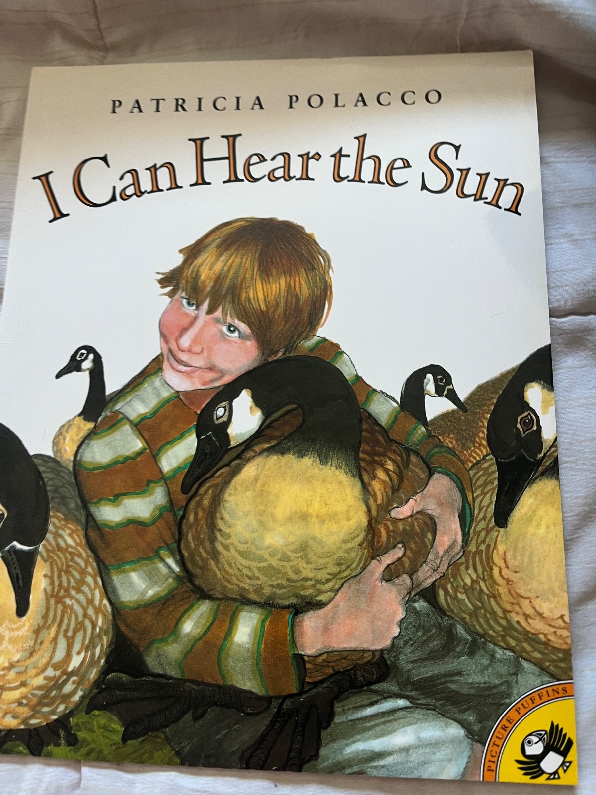 Patricia Polacco book collection – 24 books. – hard and soft back- Make an offer