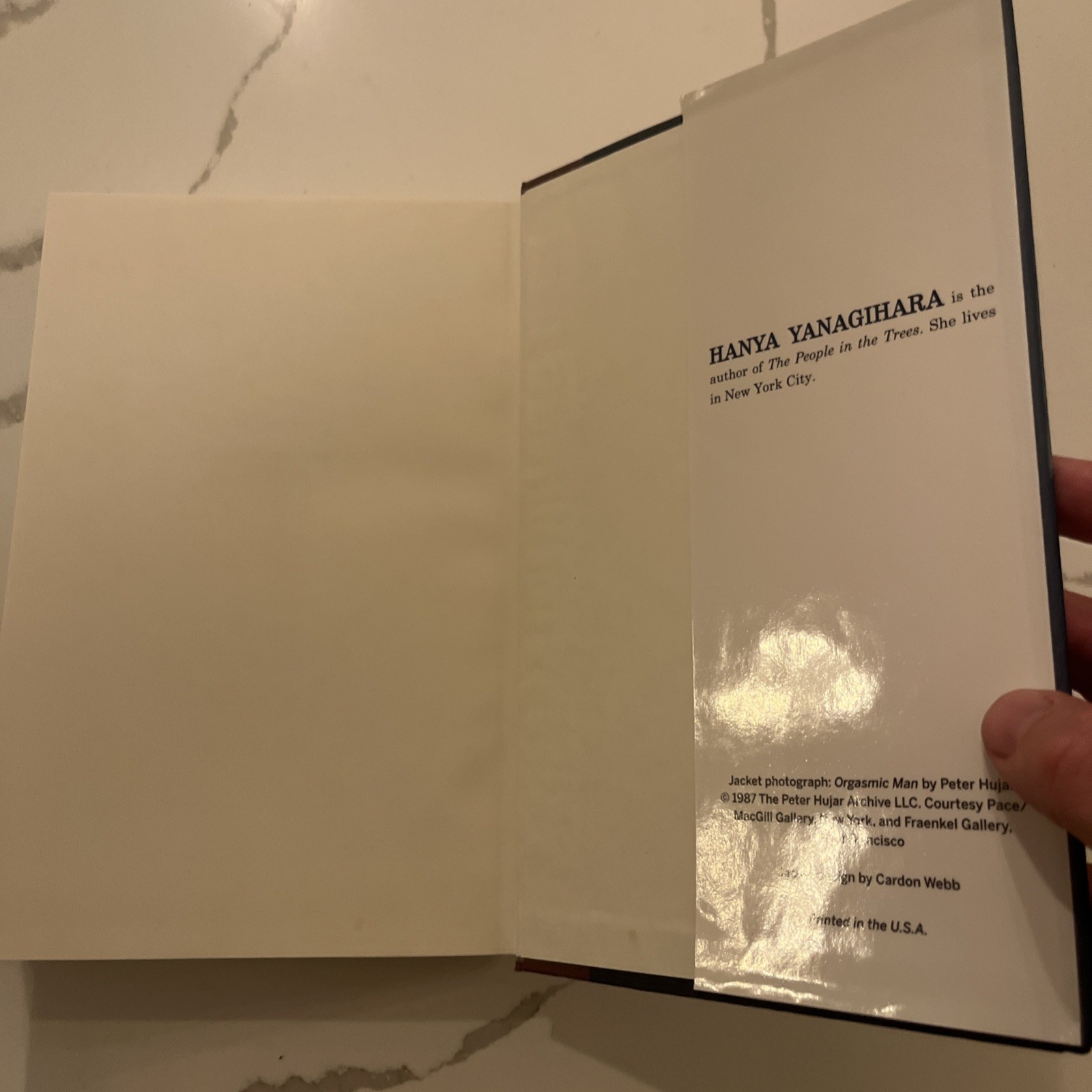 A Little Life by Hanya Yanagihara (2015, Hardcover) First Edition