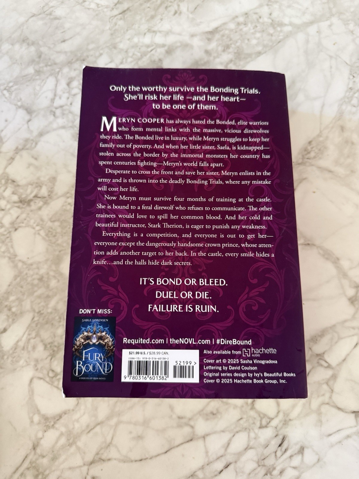 Dire Bound by Sable Sorensen (2025, Trade Paperback)