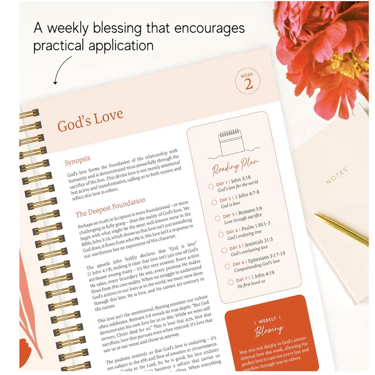Official Spiral Bible® The Bible in a Year | 52 Week Guided Bible Study – NEW