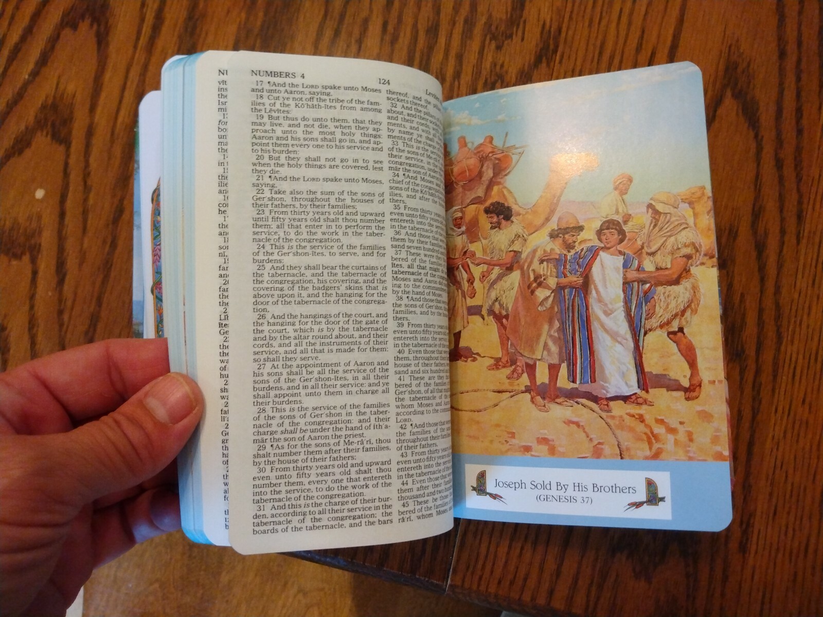 Children’s Bible KJV Seaside Bible Illustrated Nelson Hardcover blue edge