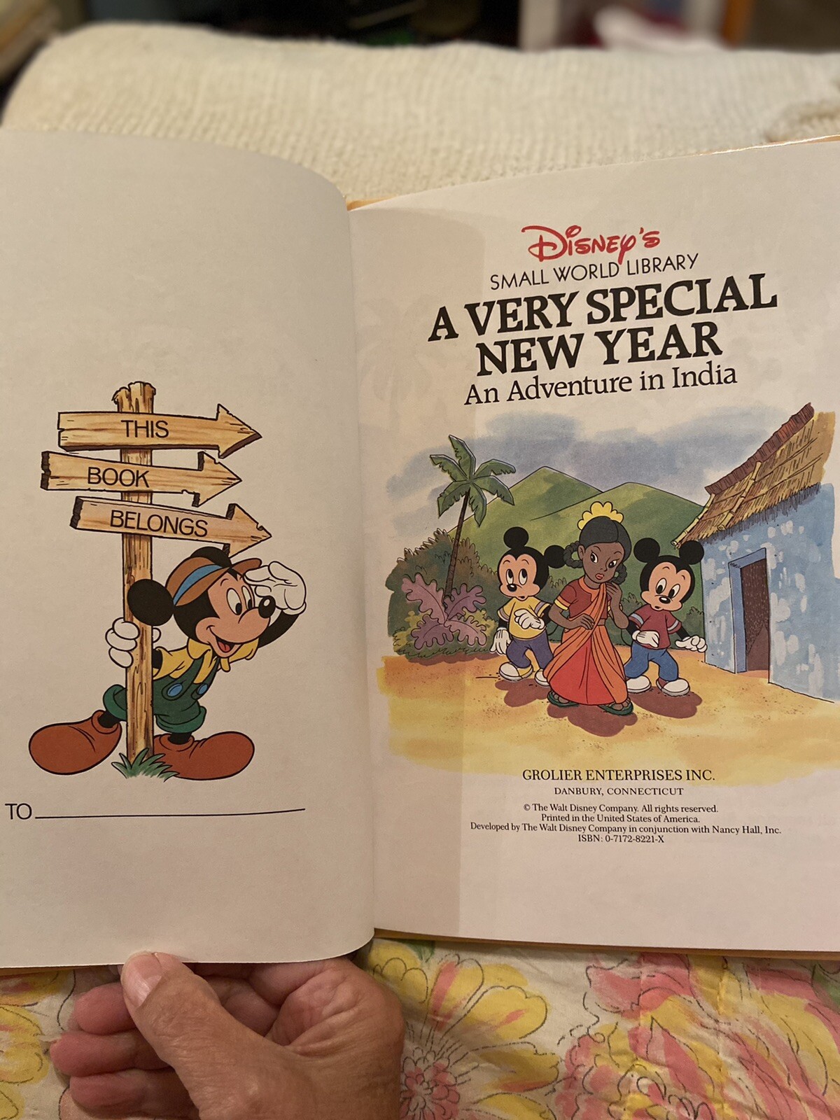 A VERY SPECIAL NEW YEAR: AN ADVENTURE IN INDIA, DISNEY’S SMALL WORLD LIBRARY