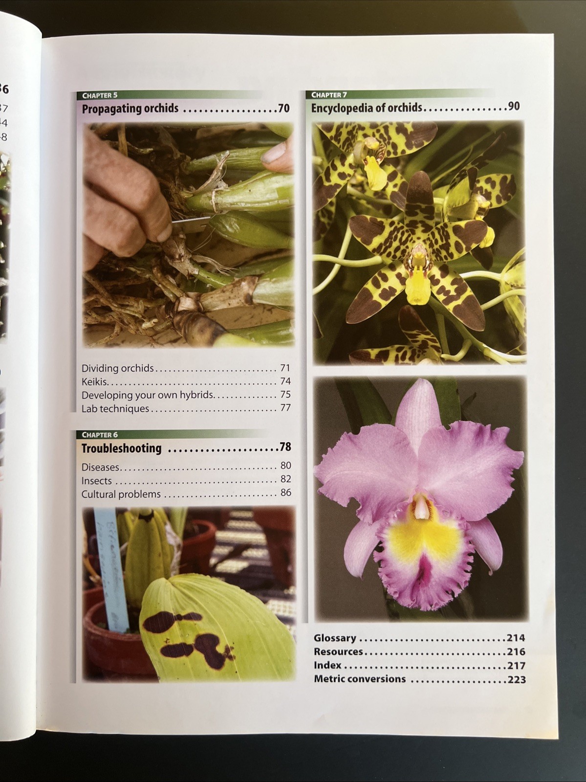 Orchids : Grow Beautiful Flowers with Confidence and Ease by Miracle-Gro…
