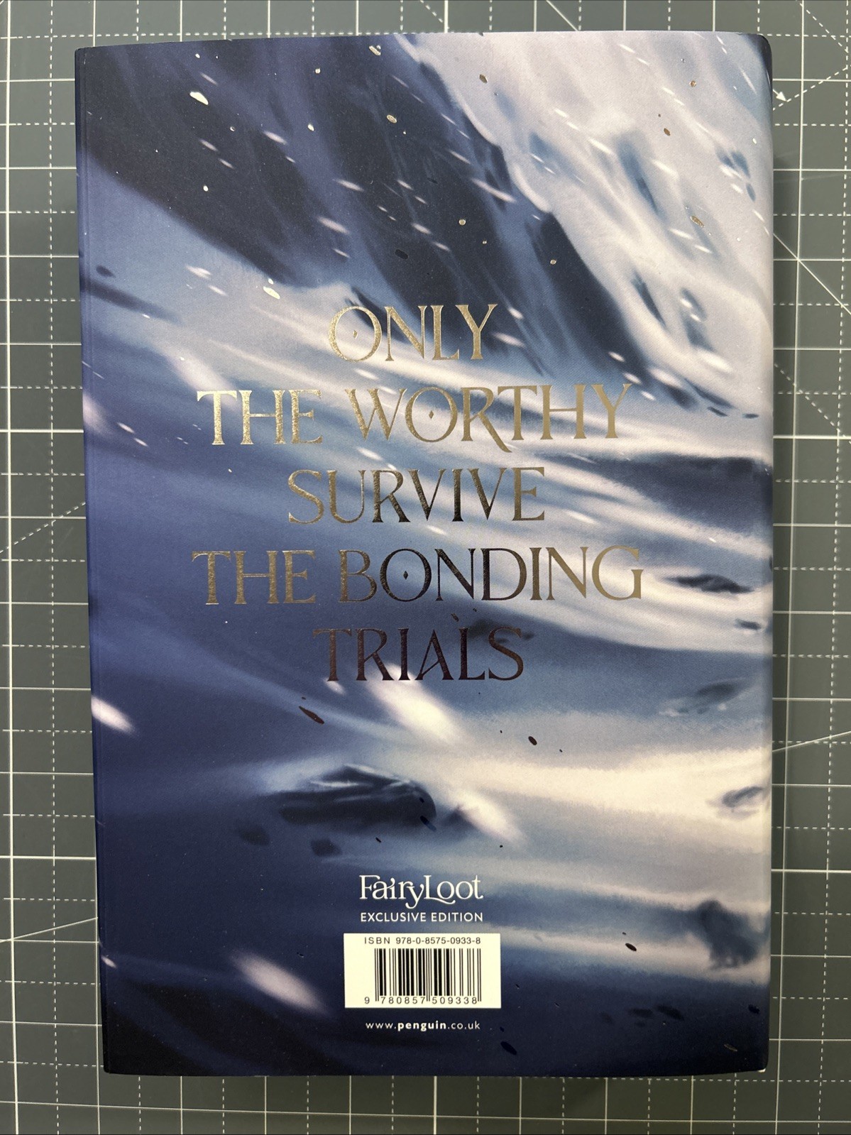 Dire Bound – Sable Sorensen FairyLoot Exclusive Edition – Hardcover Unsigned NEW