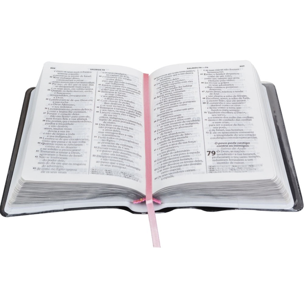 Biblia Sagrada: ARA – Capa: Flexivel em Couro – Letra: Grande (Portugues Brasil)