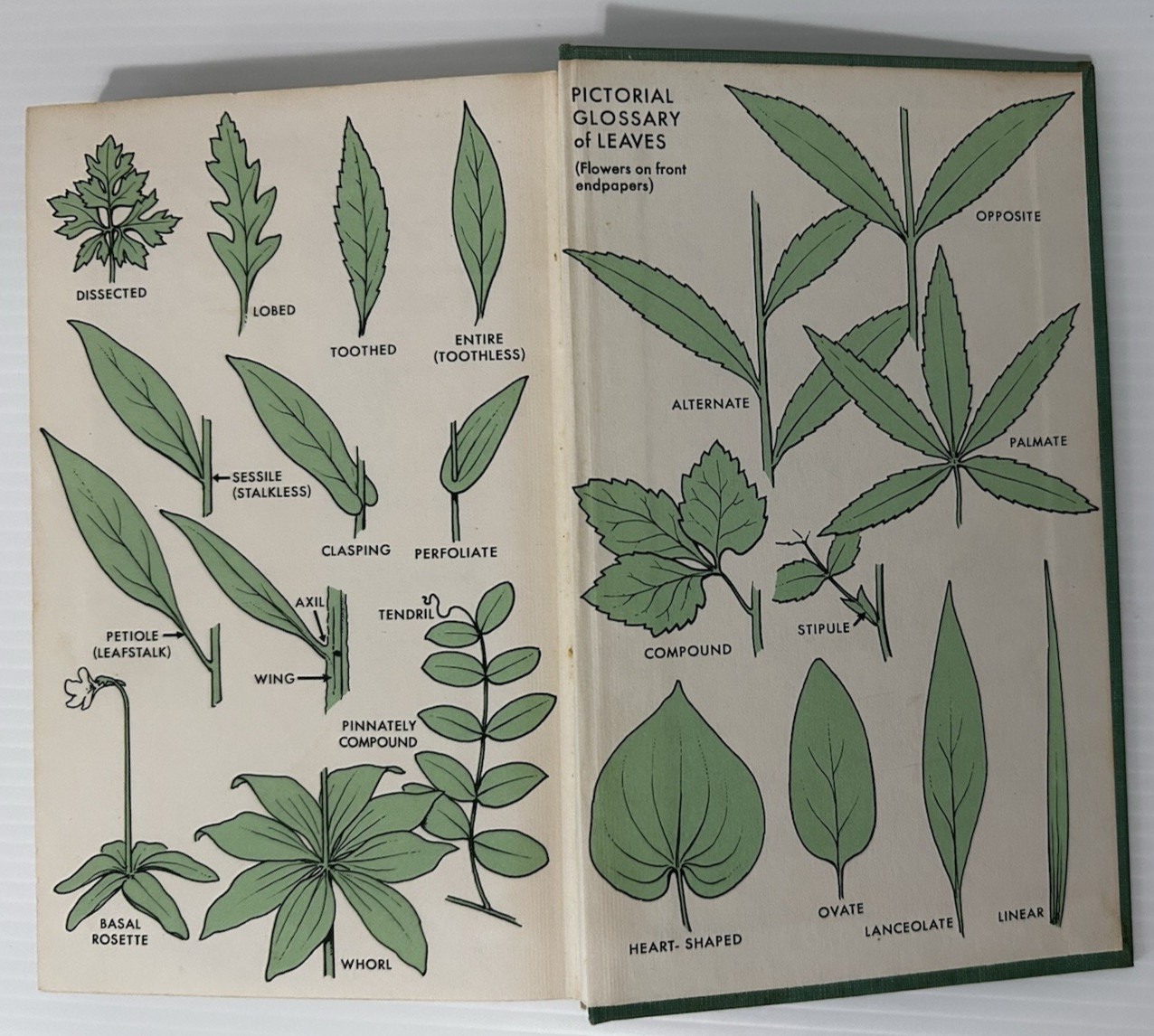 Field Guide to Wildflowers Northeastern & North Central N. A. 1968 1st ed, No DJ