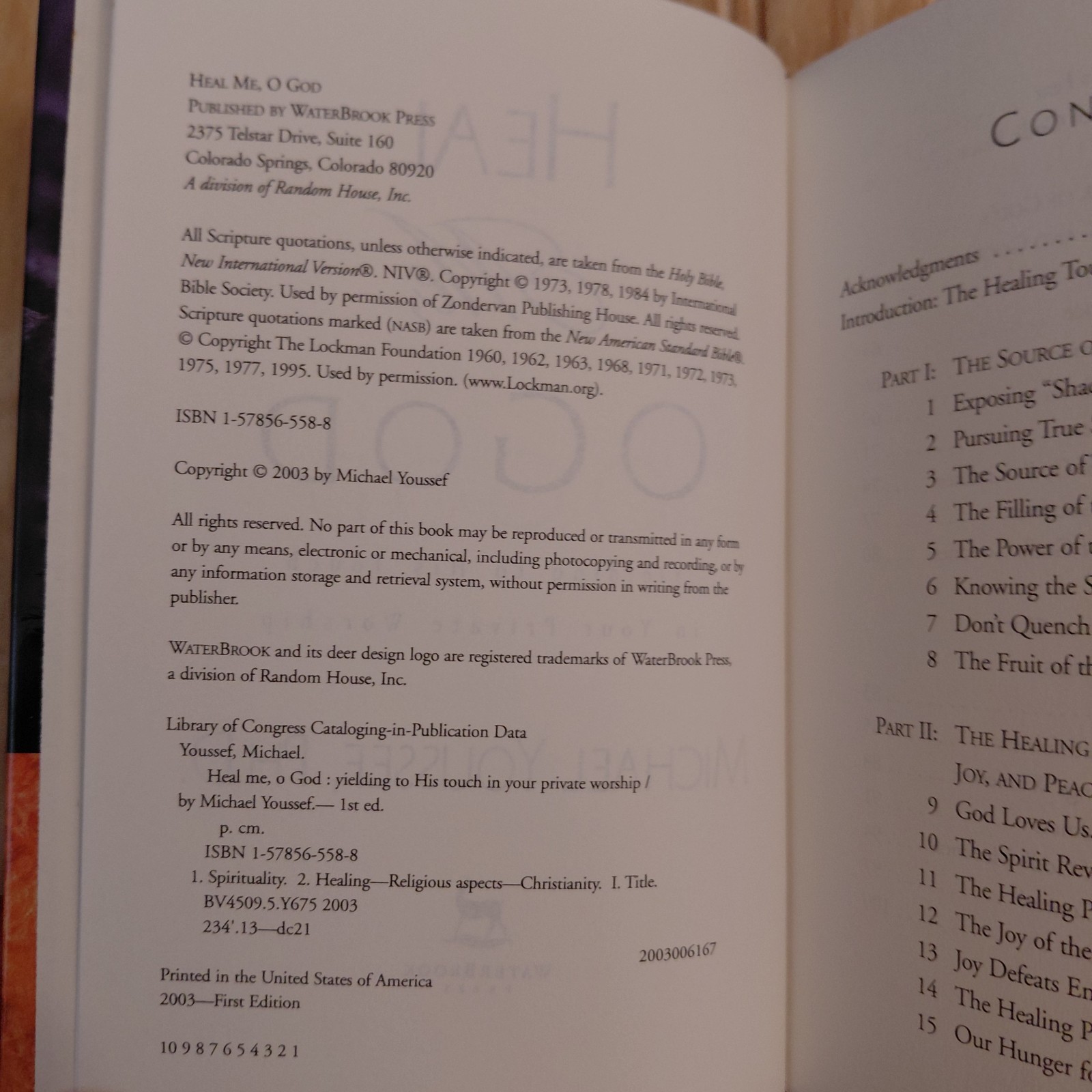 Heal Me, O God: Yielding To His Touch In Your Private Worship By Michael Youssef