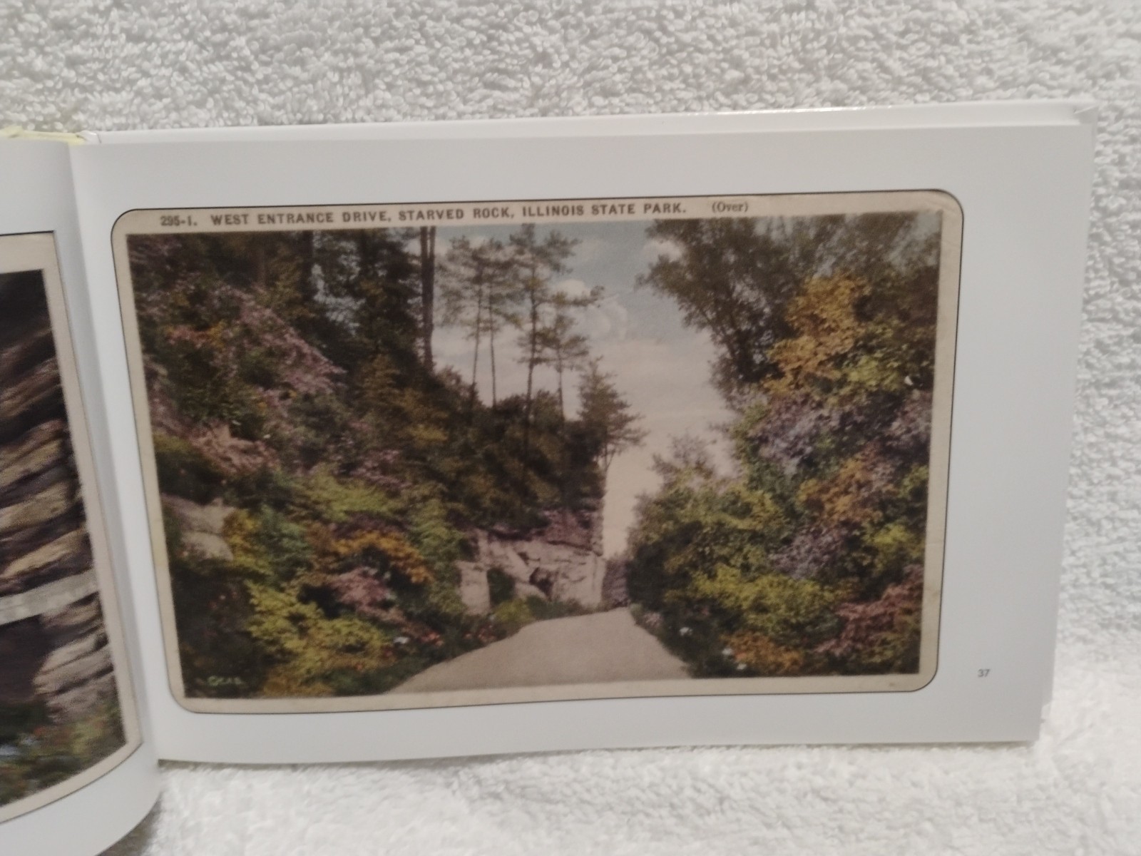 Greetings from Starved Rock Jim Ridings A Look At Vintage Picture Postcards HC