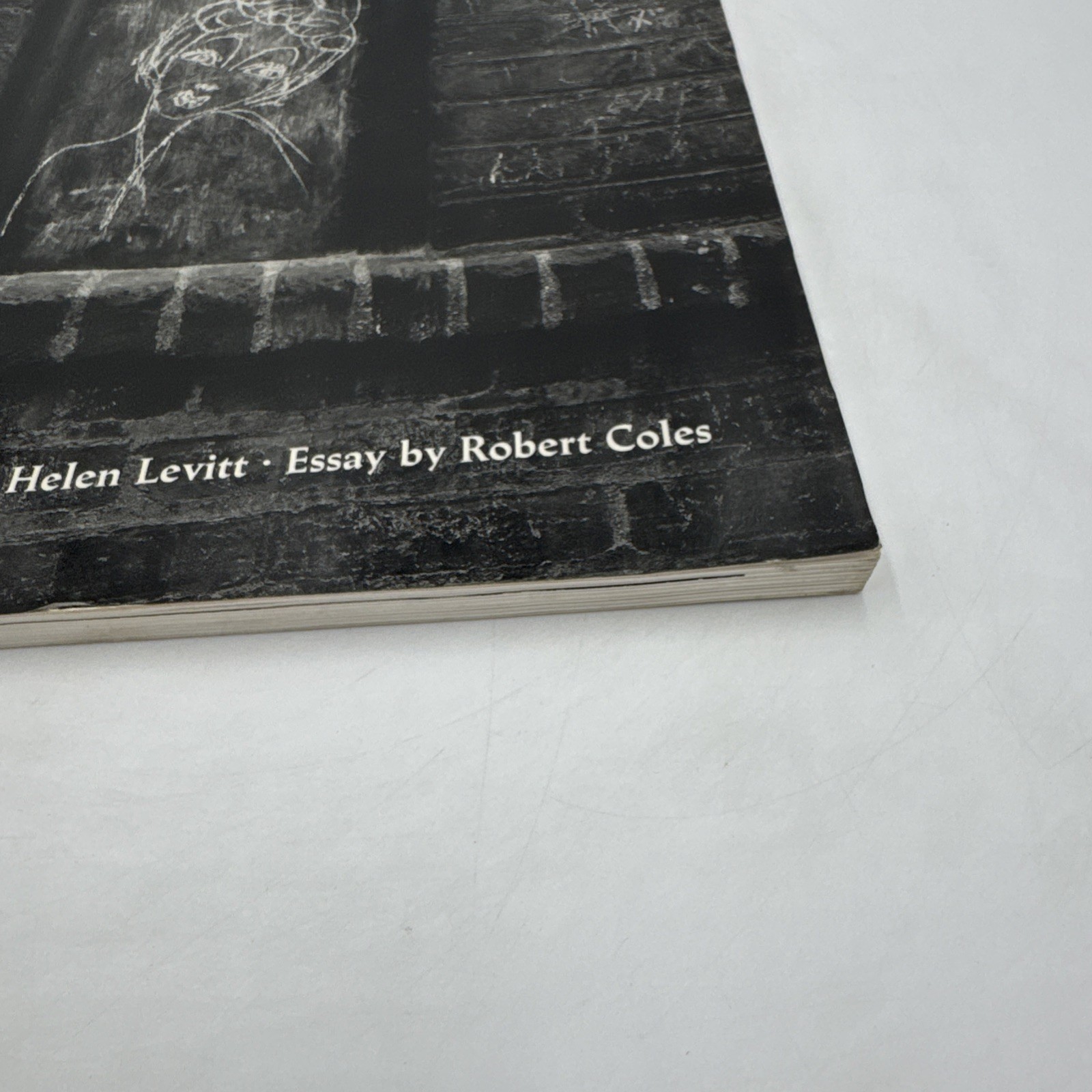 Helen Levitt In The Street 1987 1st Edition PB Chalk Drawings Messages Duke