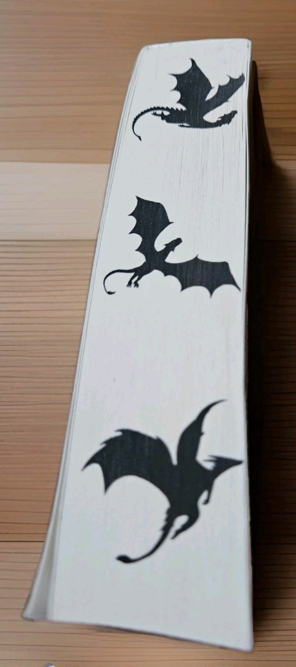 🐲 Fourth Wing 1st Printing Limited Edition Paperback Full Sprayed Dragon Edges