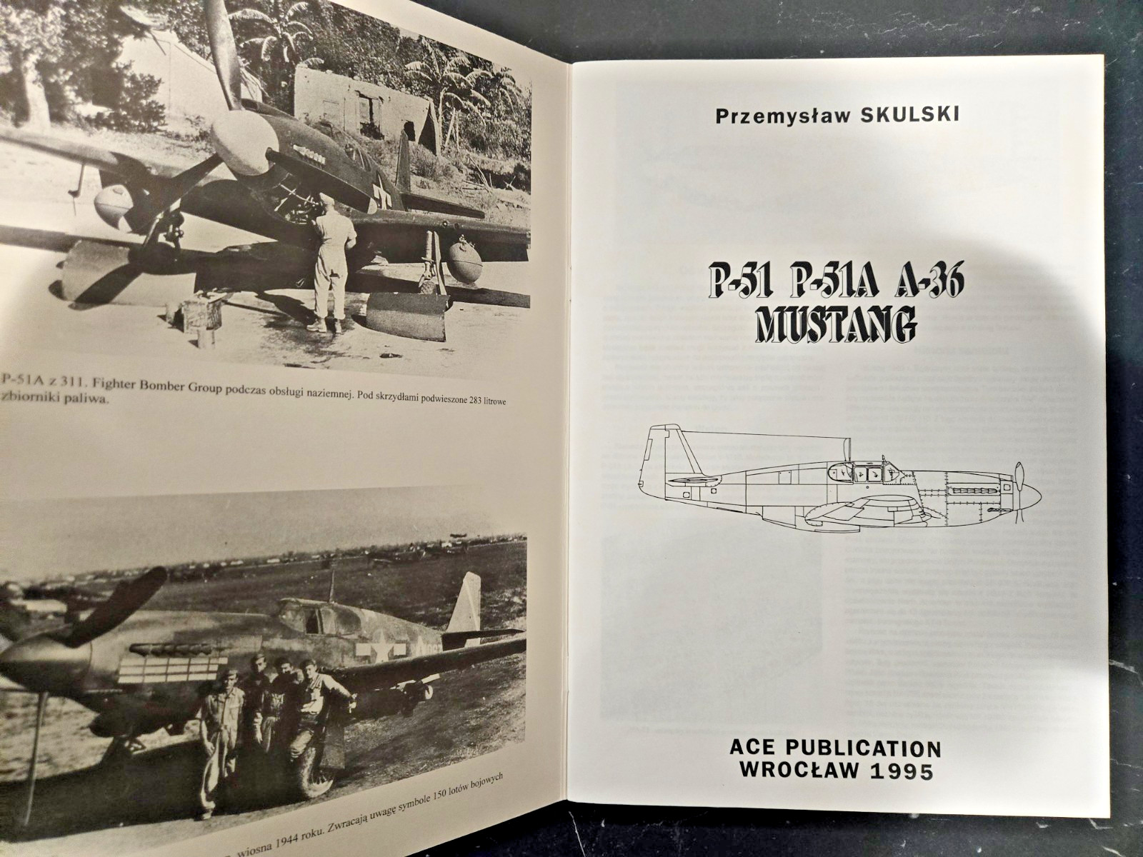 P-51 P-51A A-36 MUSTANG – Seria Pod Lupa #1 – Polish w/English Summary