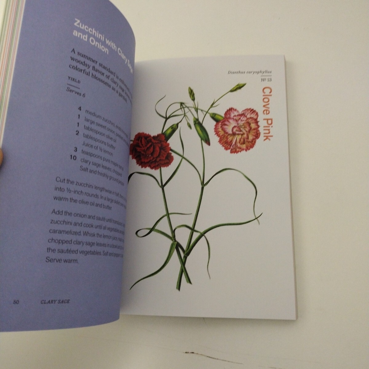 Herbal Handbook Paperback 51 Profiles in Words & Art 1st ed. 2022 NY Botanical