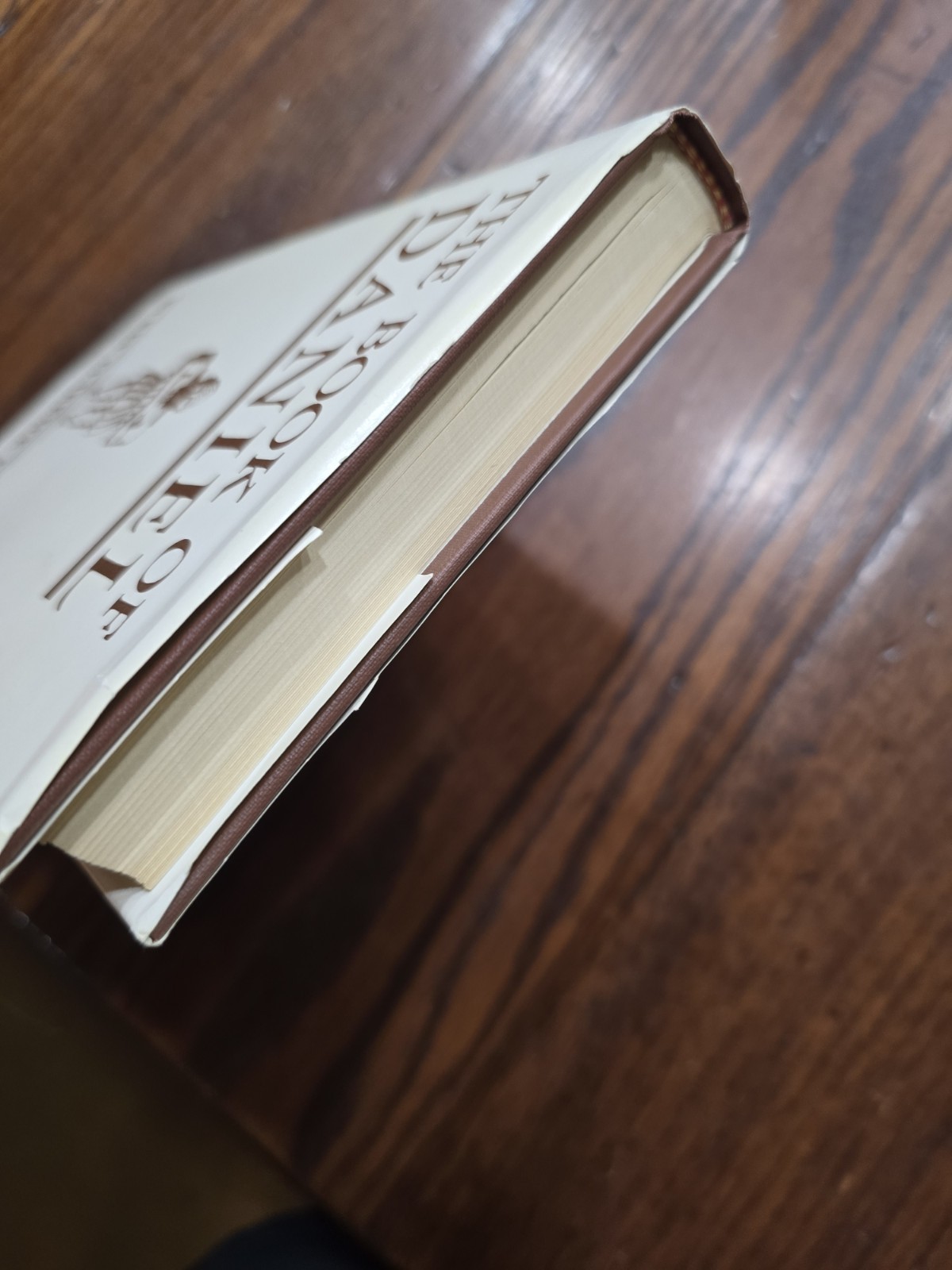 The Book of Daniel Rev Clarence Larkin Vintage 1929 Hardcover Biblical Prophecy
