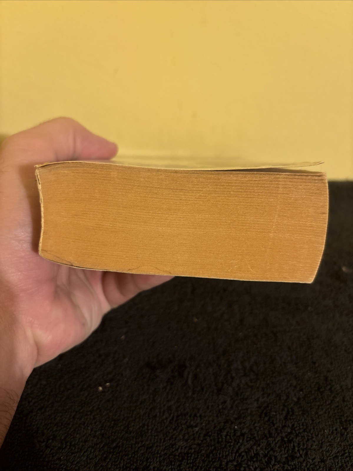 fyodor dostoyevsky the brothers karamazov Paperback Book 1966