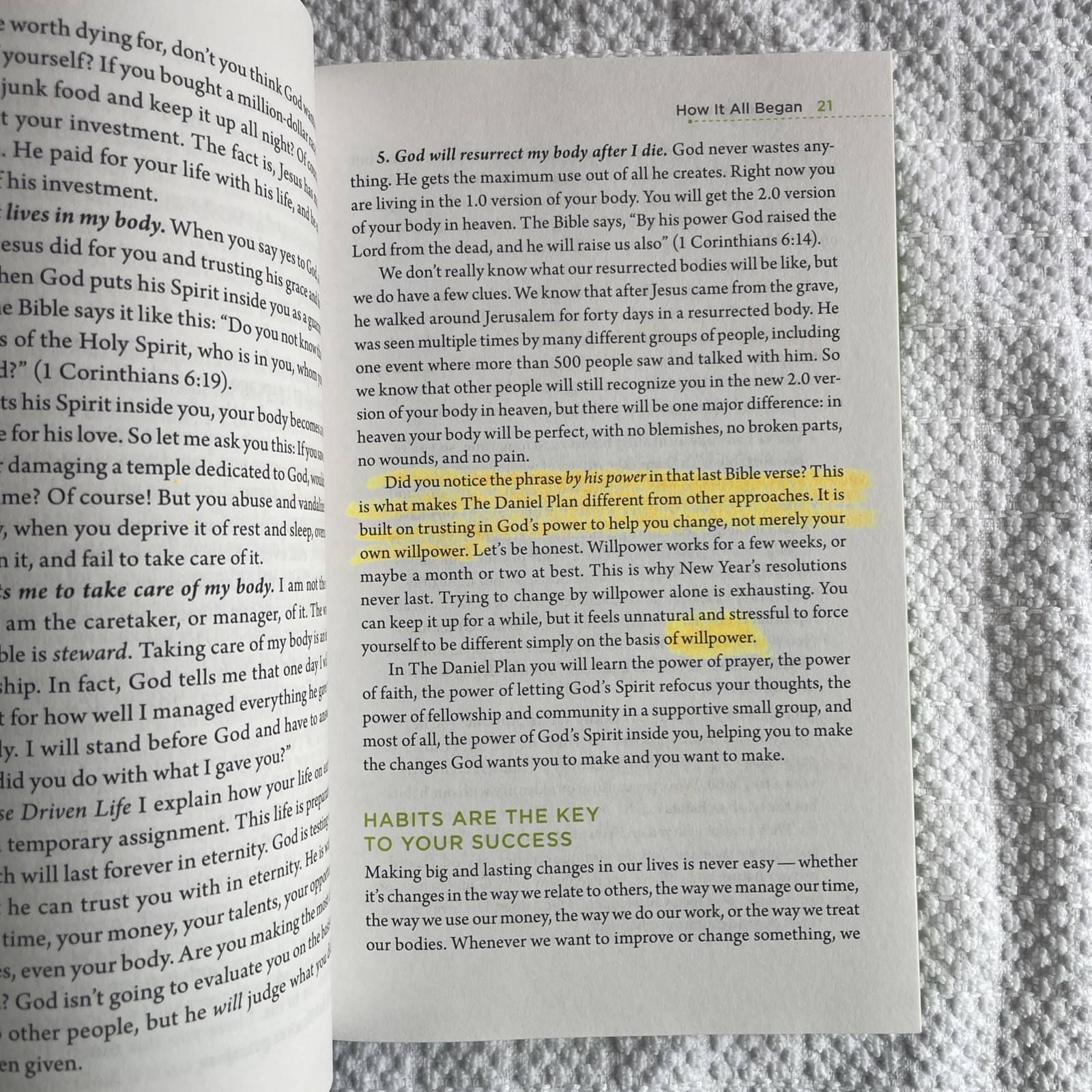 The Daniel Plan Ser.: The Daniel Plan : 40 Days to a Healthier Life by Daniel G.