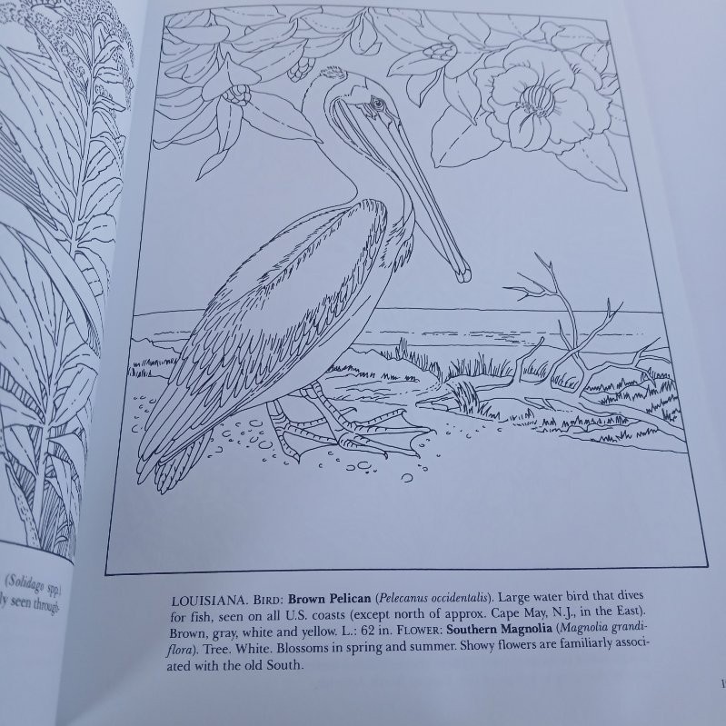 Dover Adult Coloring Books Lot Of 5 Nature Gardens Birds Flowers & WW1 Uniforms