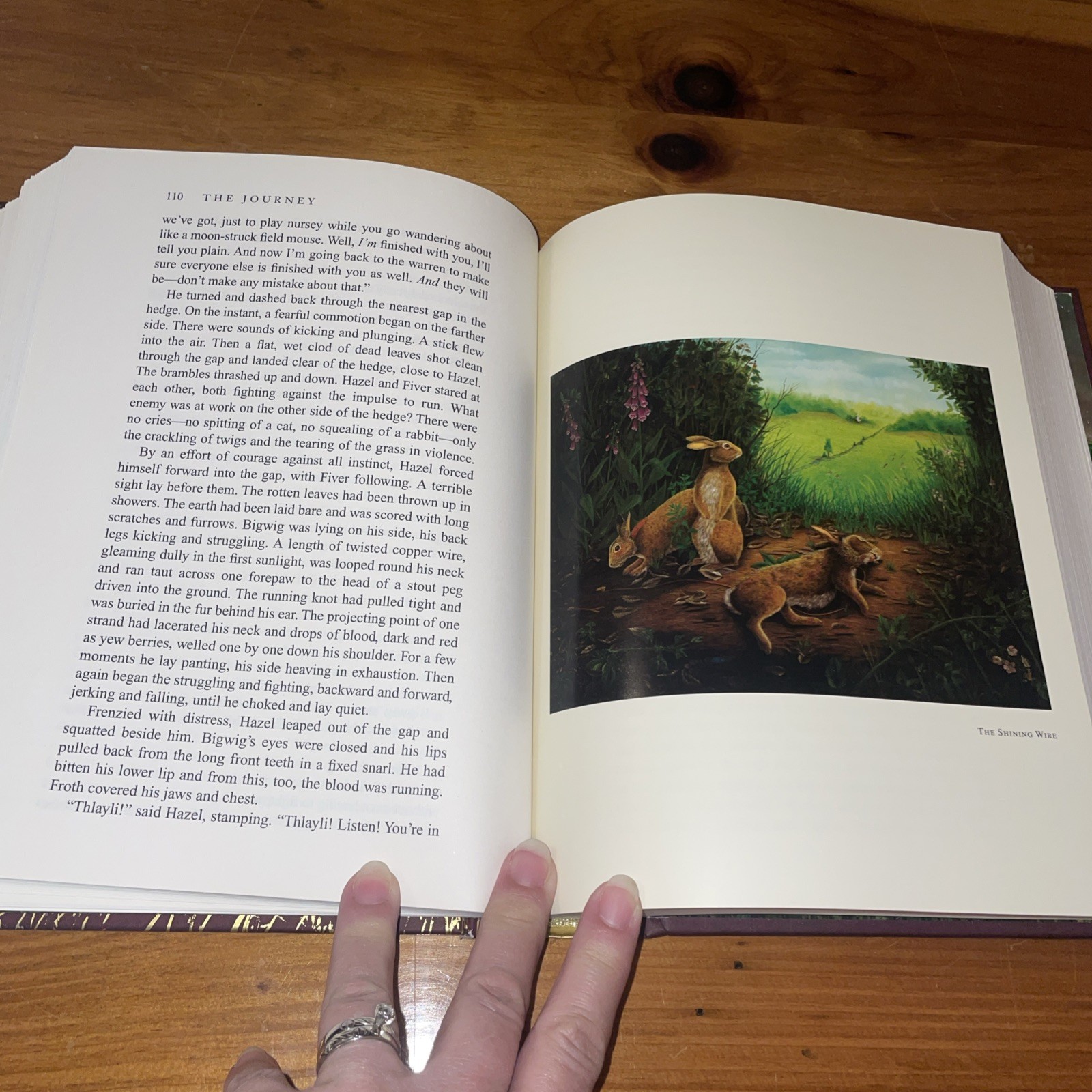 WATERSHIP DOWN Richard Adams & Aldo Galli 2012 Atheneum HB