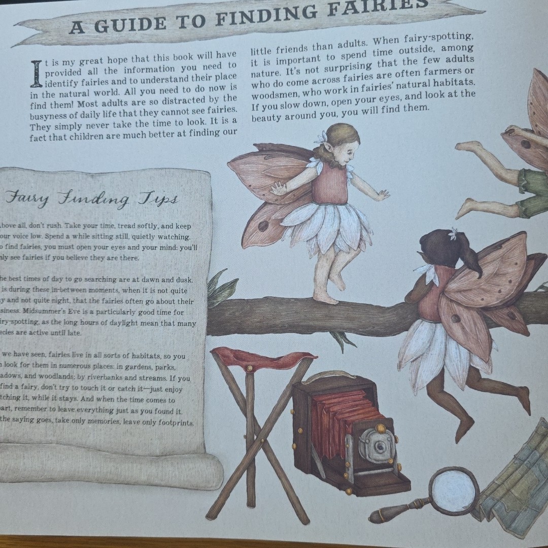 Folklore Field Guides: A Natural History of Fairies by Emily Hawkins