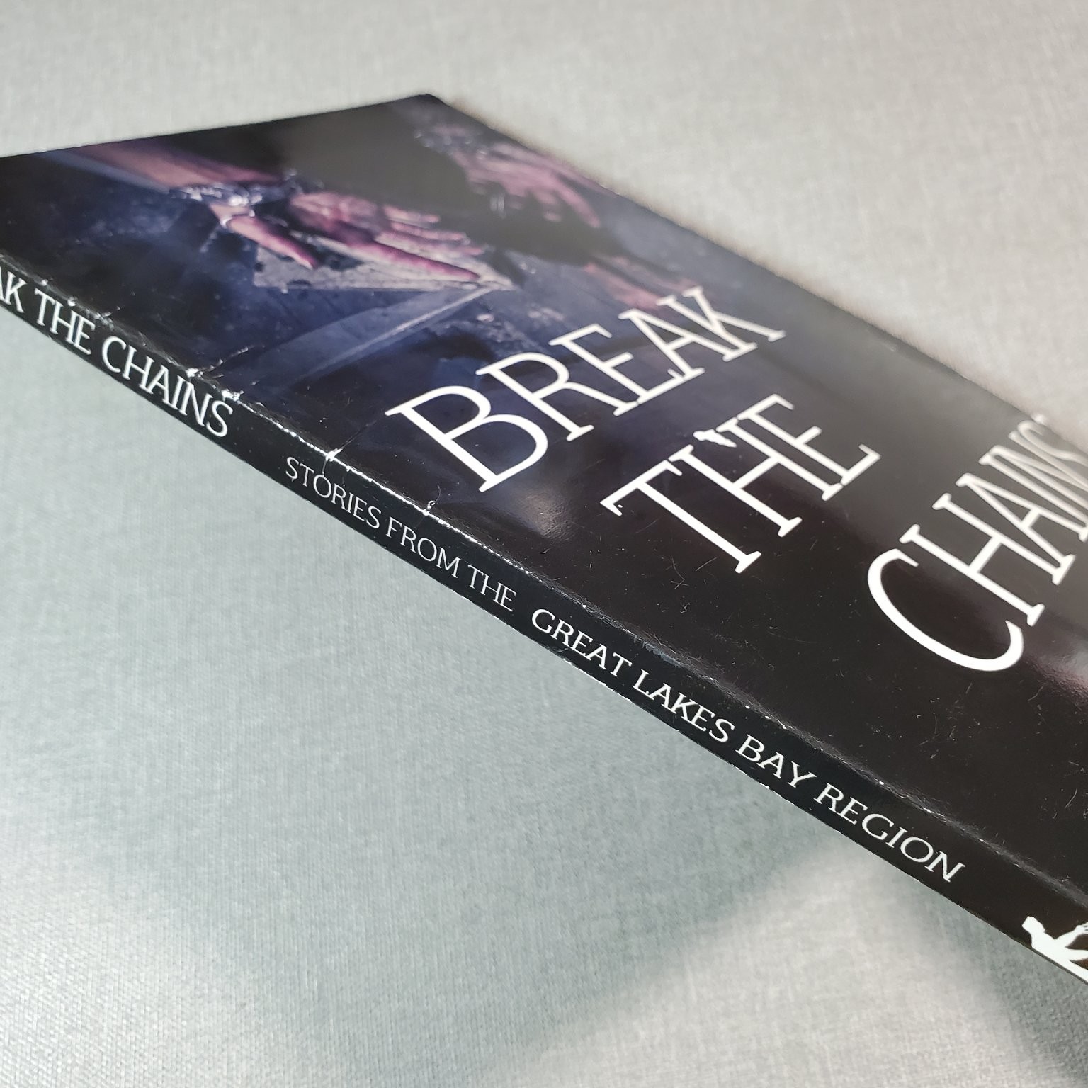 Break the Chains True Stories Great Lakes Bay Region GCP 2016 Nonfiction