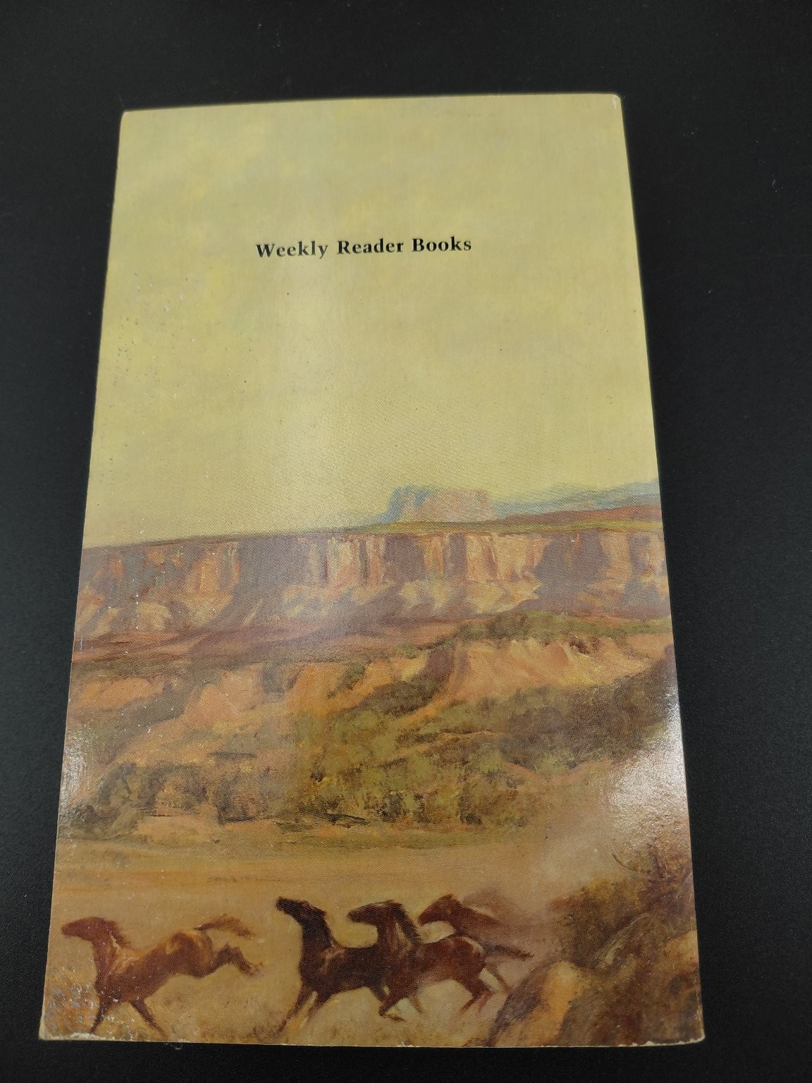 Western Adventure Fiction Books