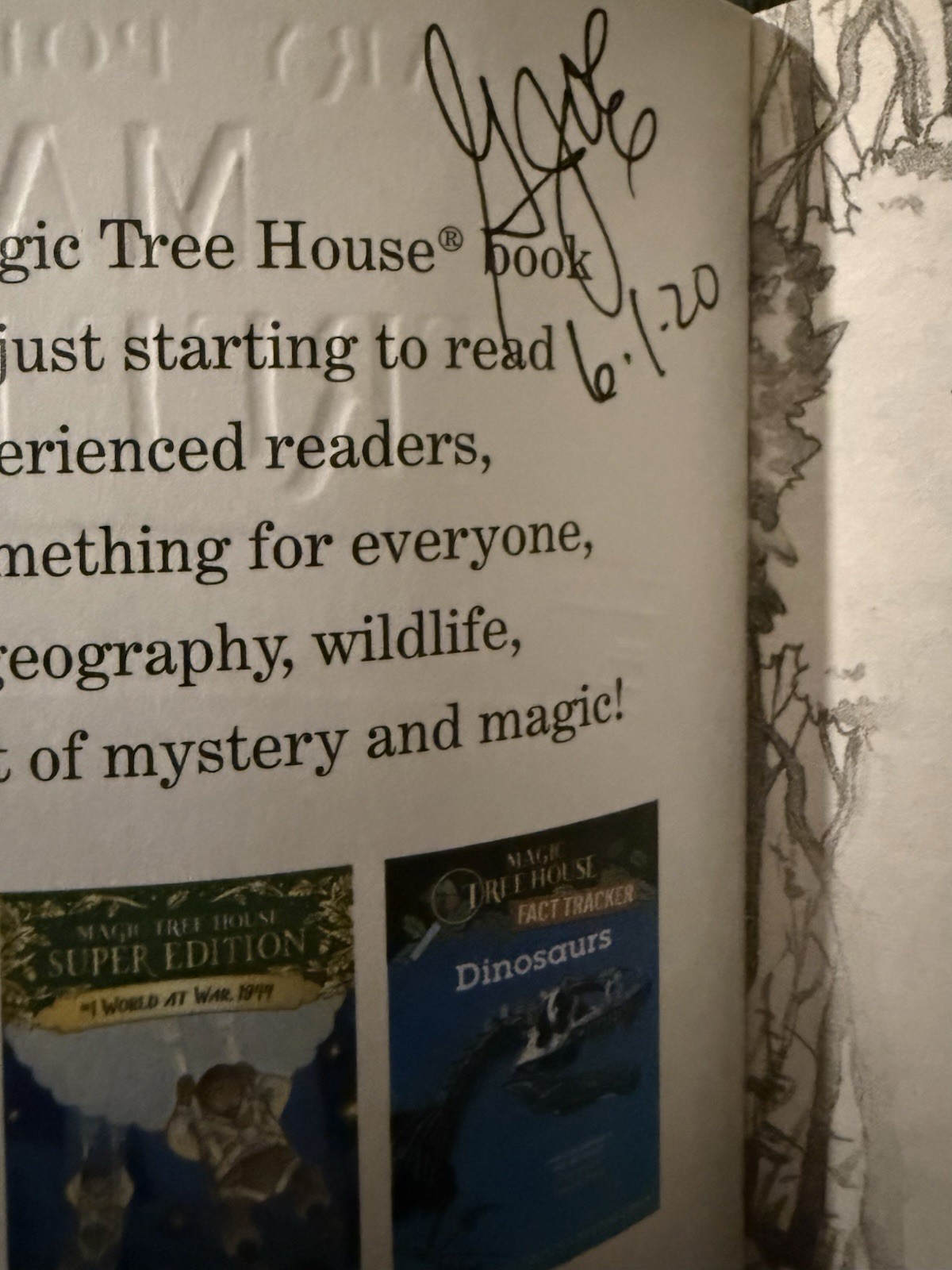 Magic Tree House 1–29 Missing 3 And 16