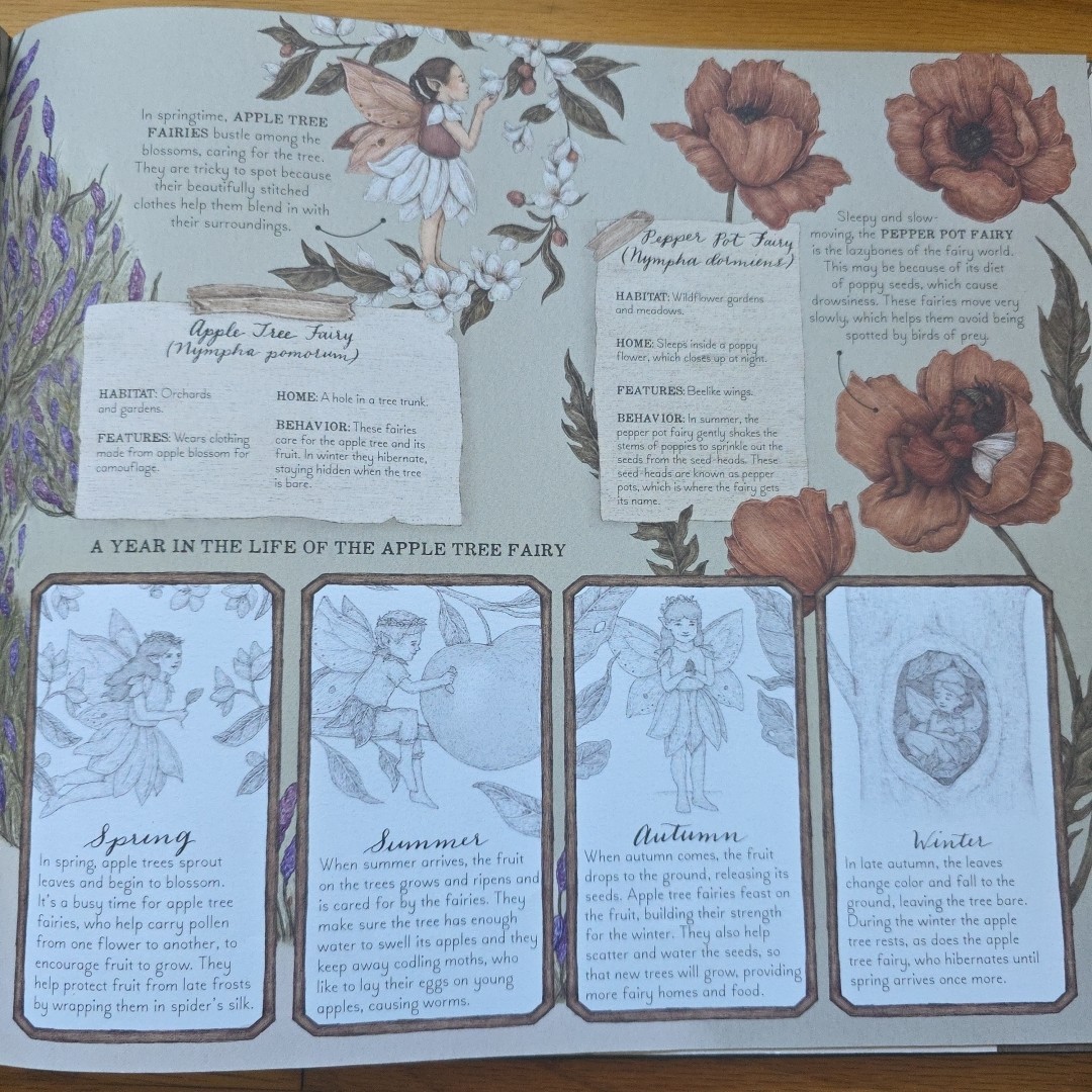 Folklore Field Guides: A Natural History of Fairies by Emily Hawkins